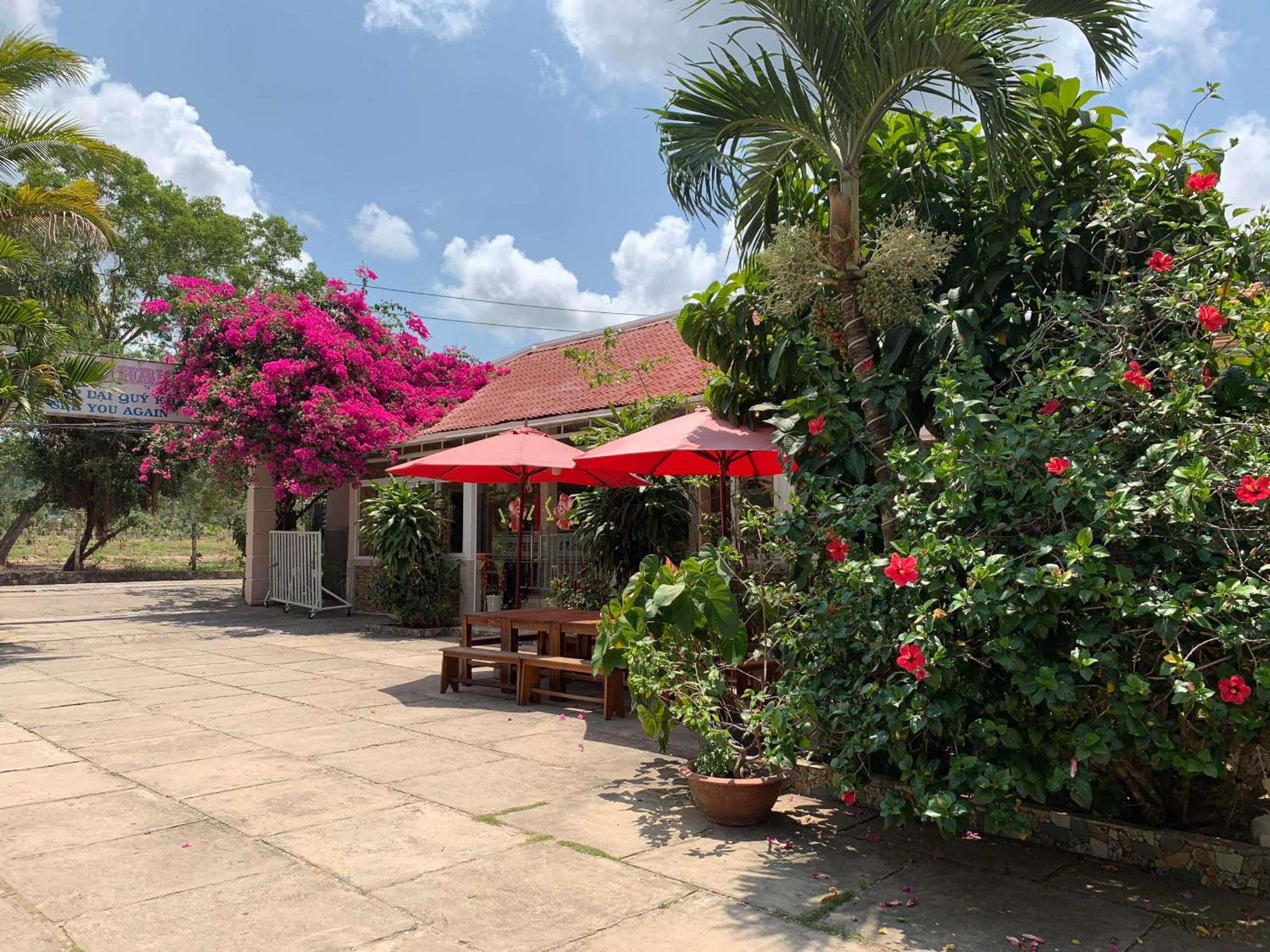 Double Room with Garden View photo 2