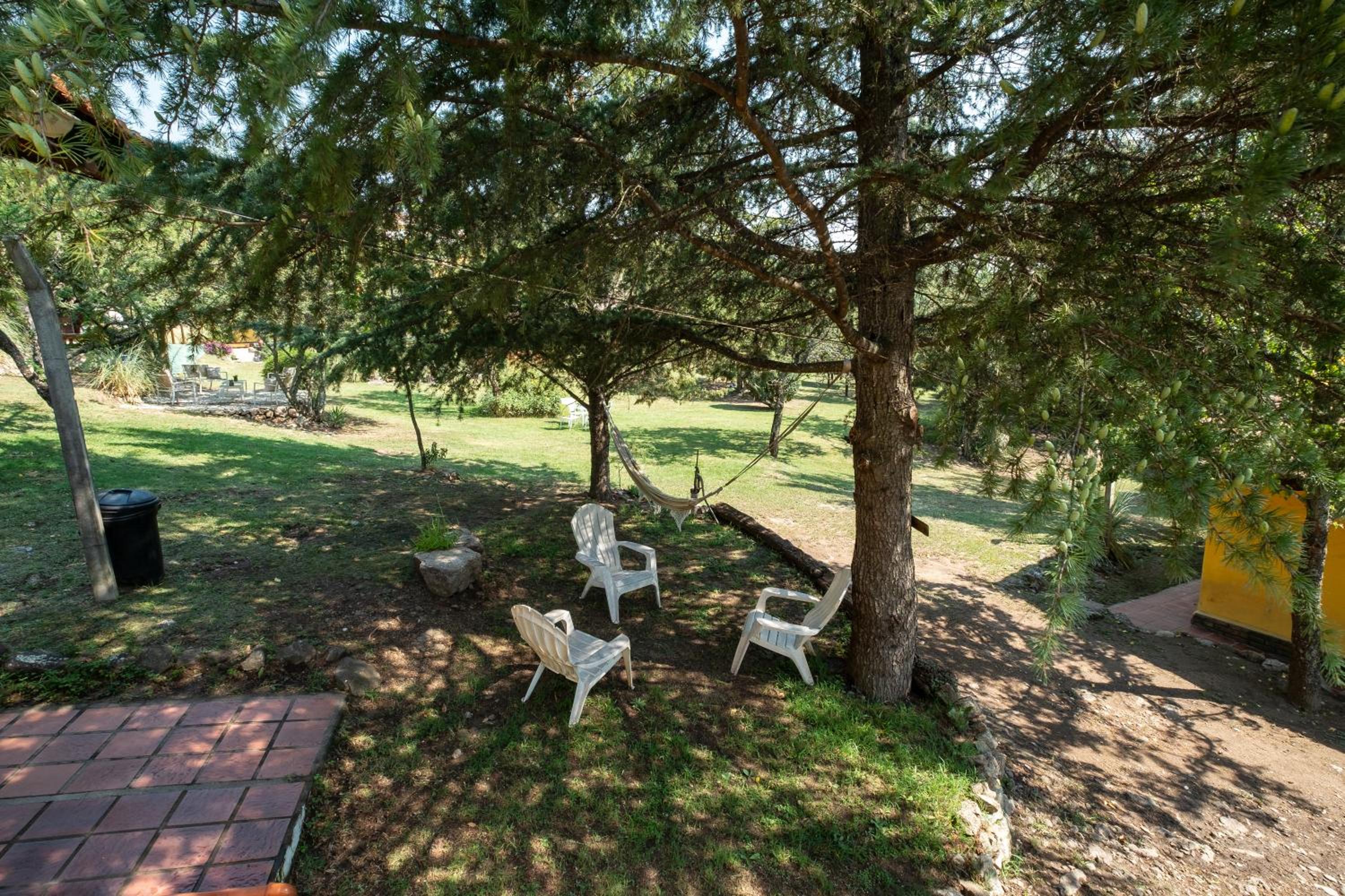 One-Bedroom Bungalow photo 2