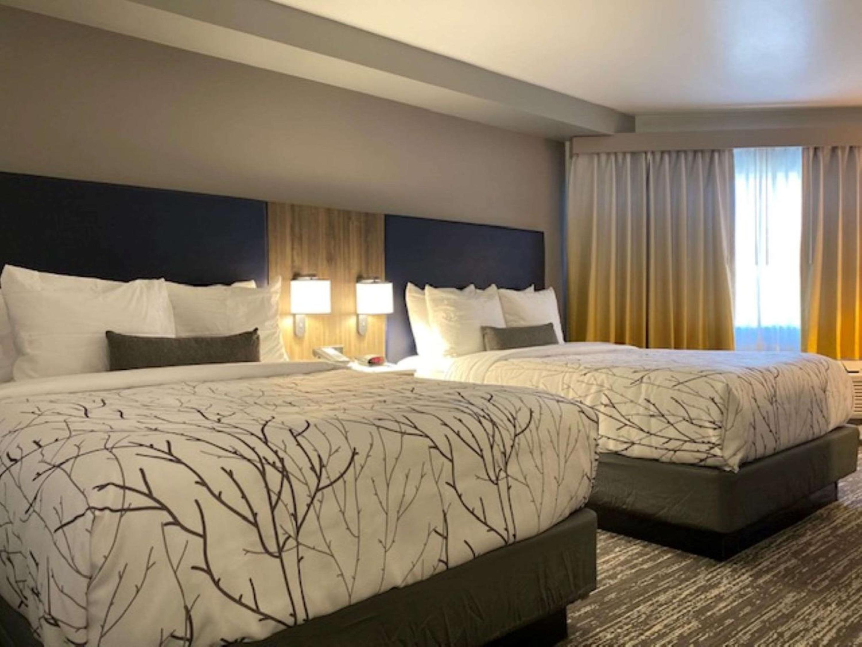 Queen Room with Two Queen Beds with Pool View
