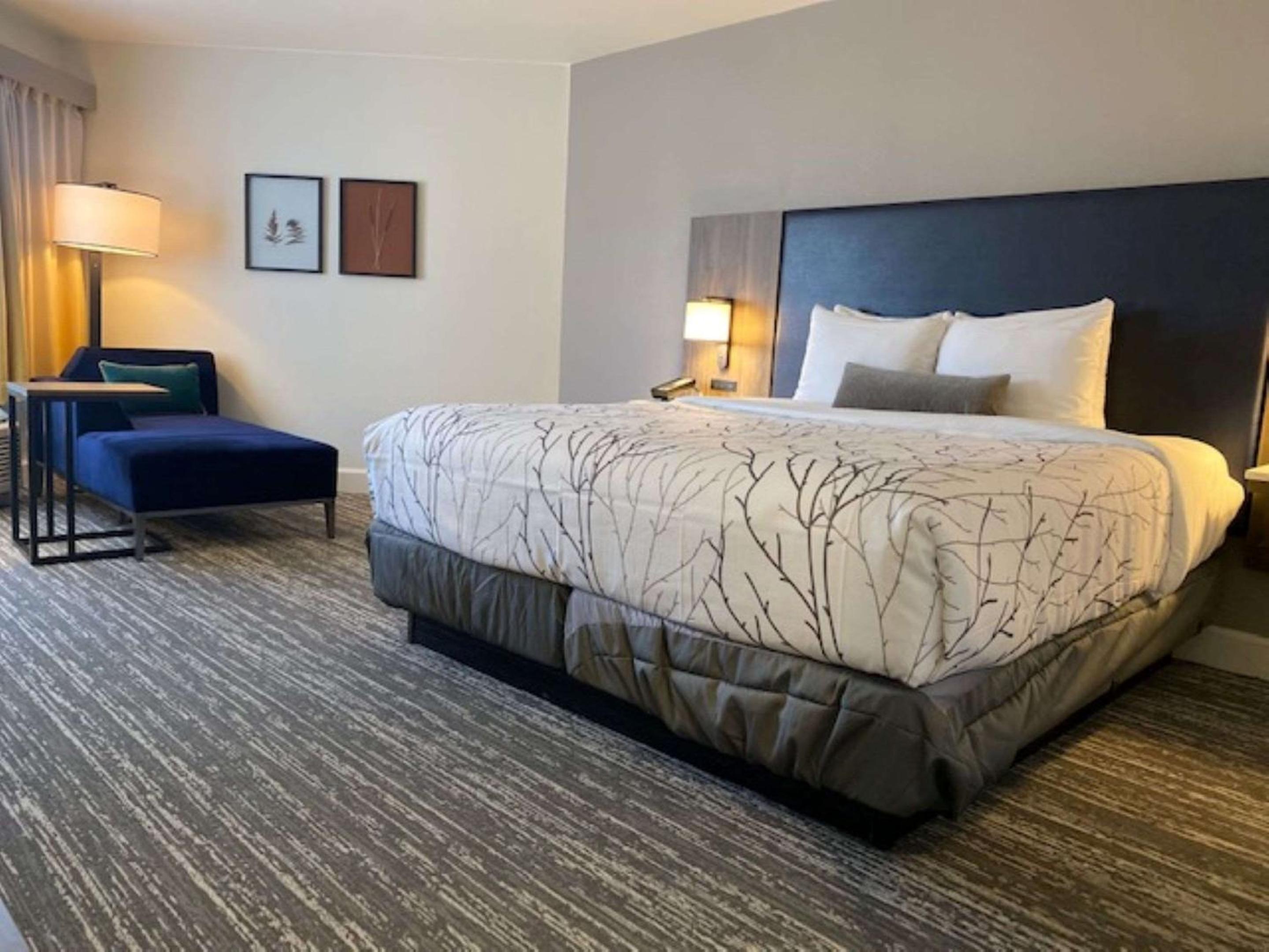 King Room with Pool View