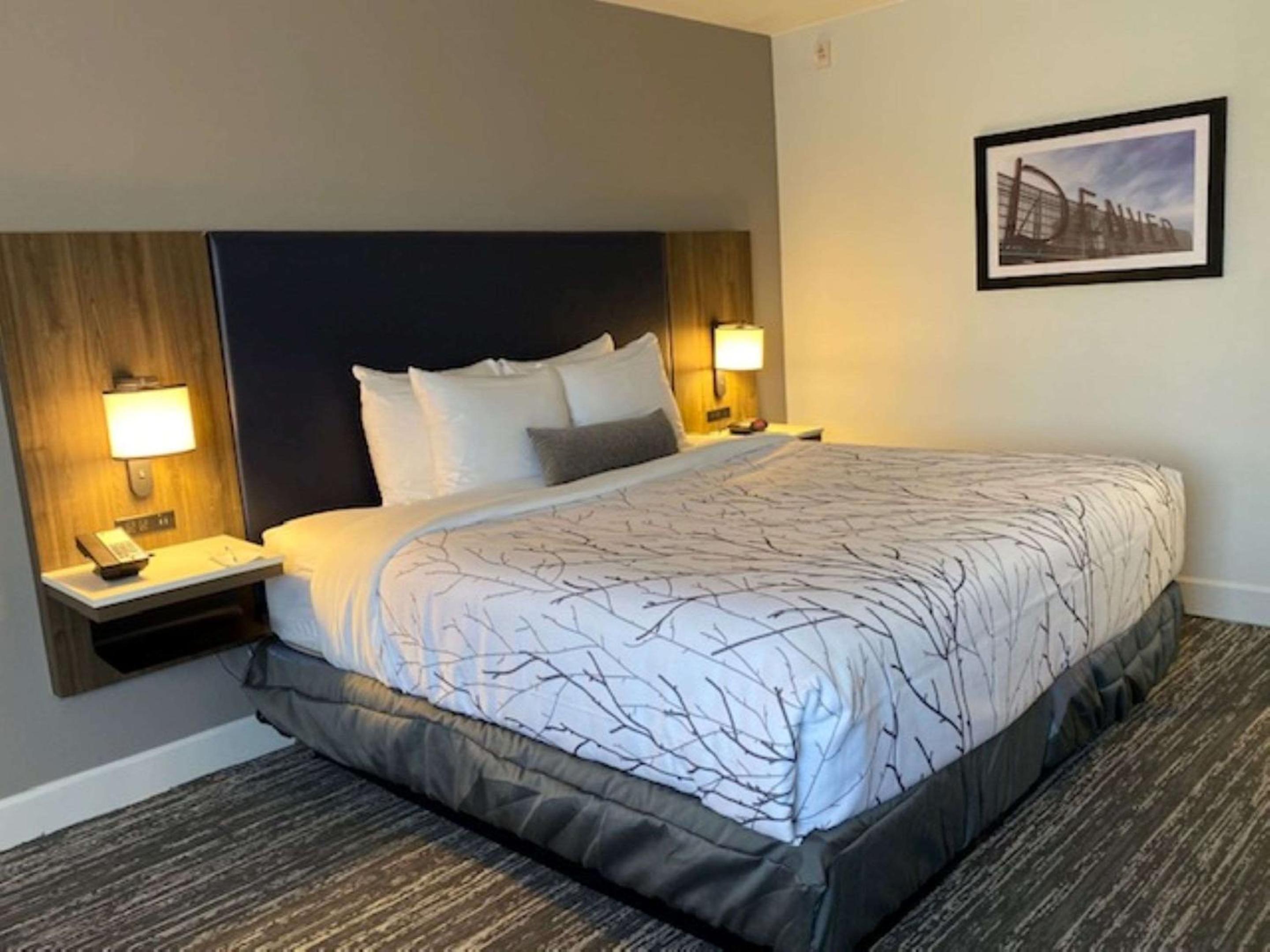 King Room with Pool View