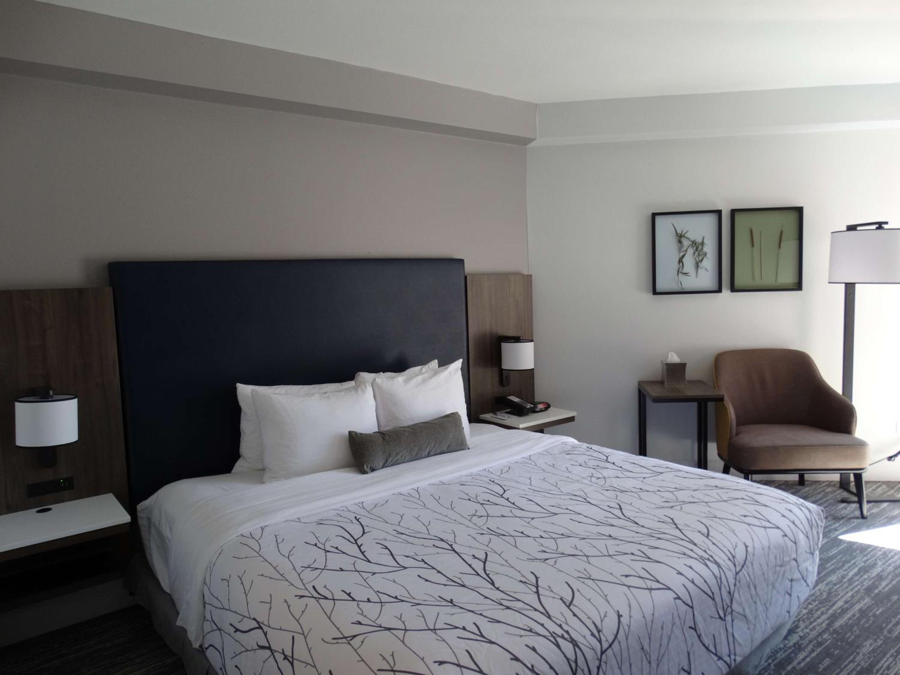 King Room with Mobility Accessible Tub and Sofa Bed