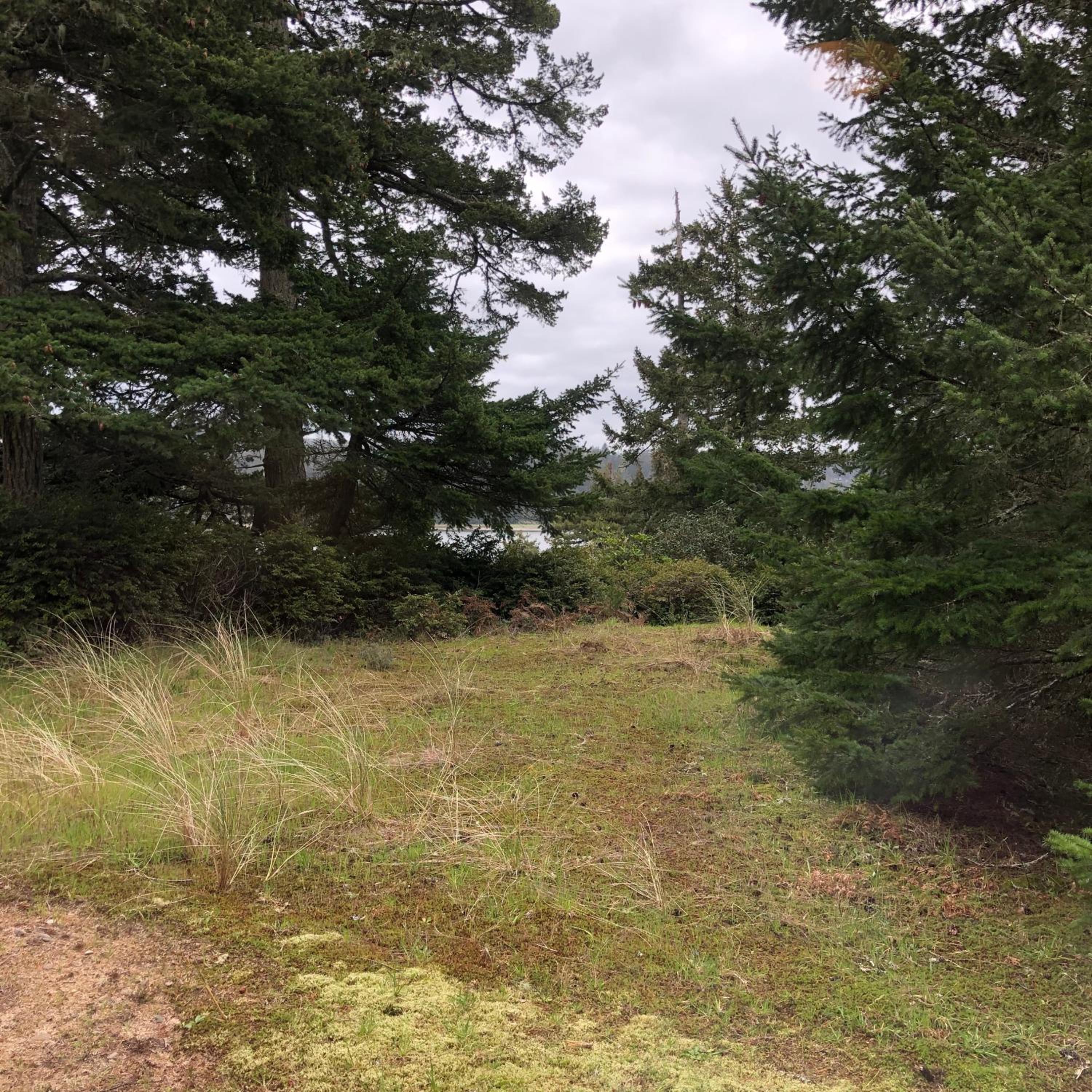 Studio with Forest View photo 2