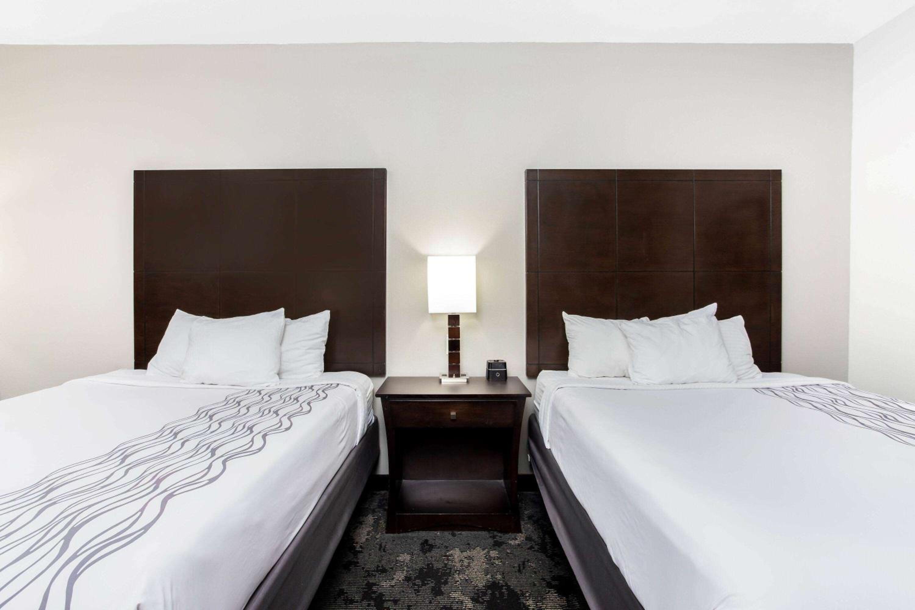 Queen Room - Mobility/Hearing Accessible/ Non-Smoking - Photo 4