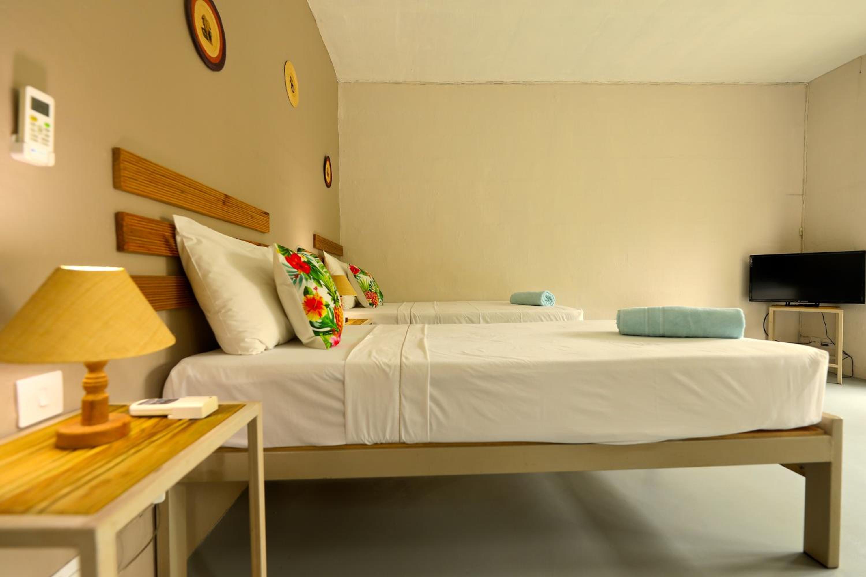 Twin Room photo 1