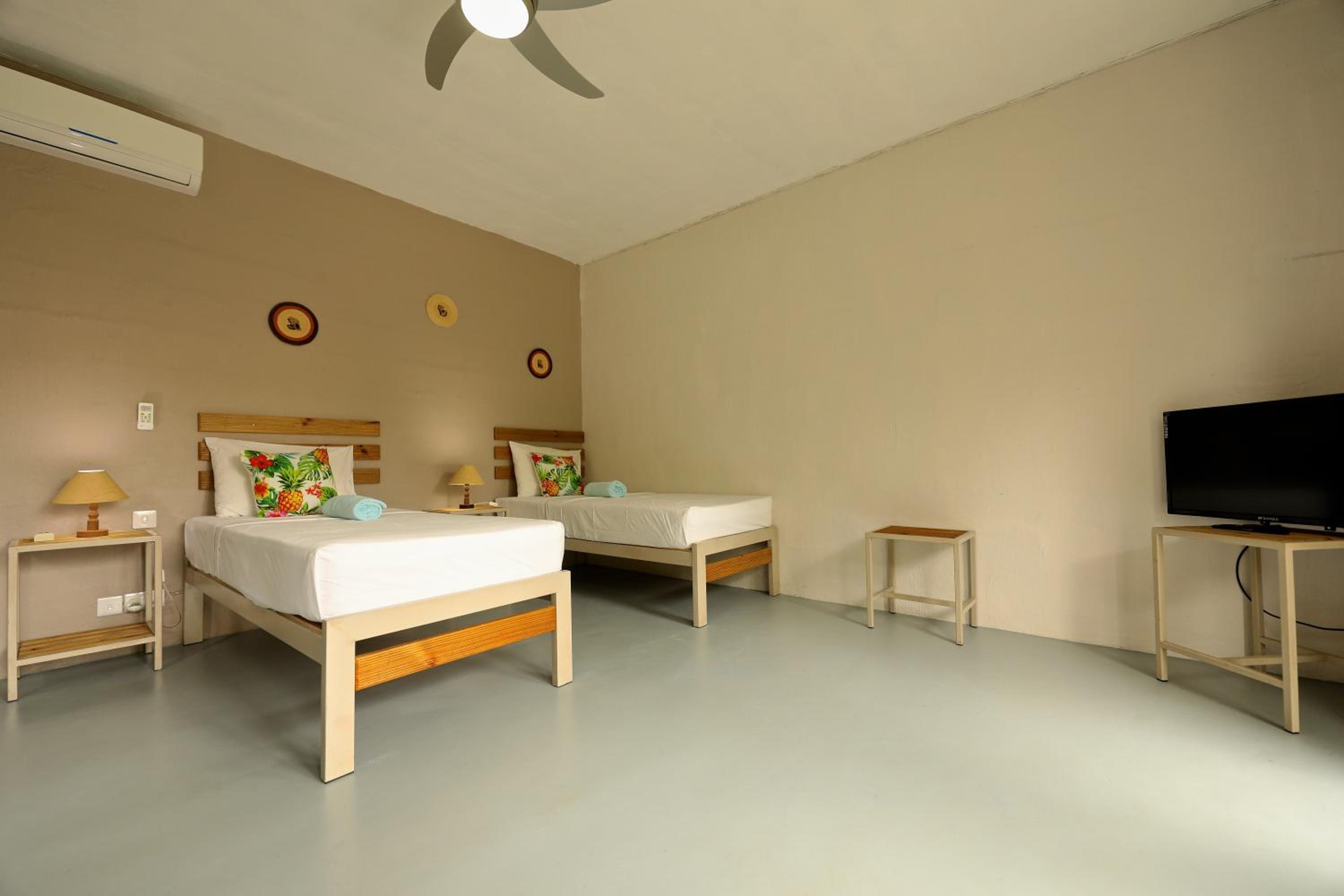 Twin Room photo 2