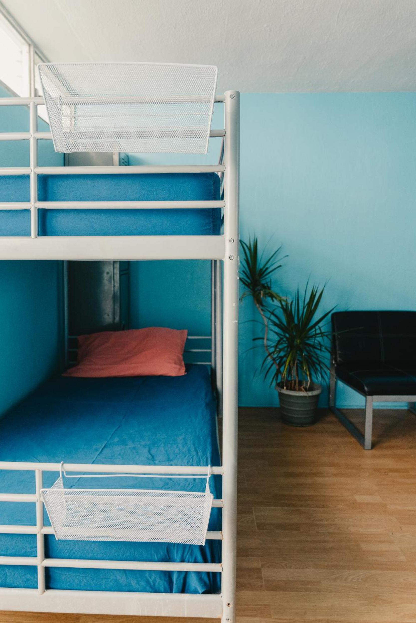 Single Bed in Mixed Dormitory Room photo 1