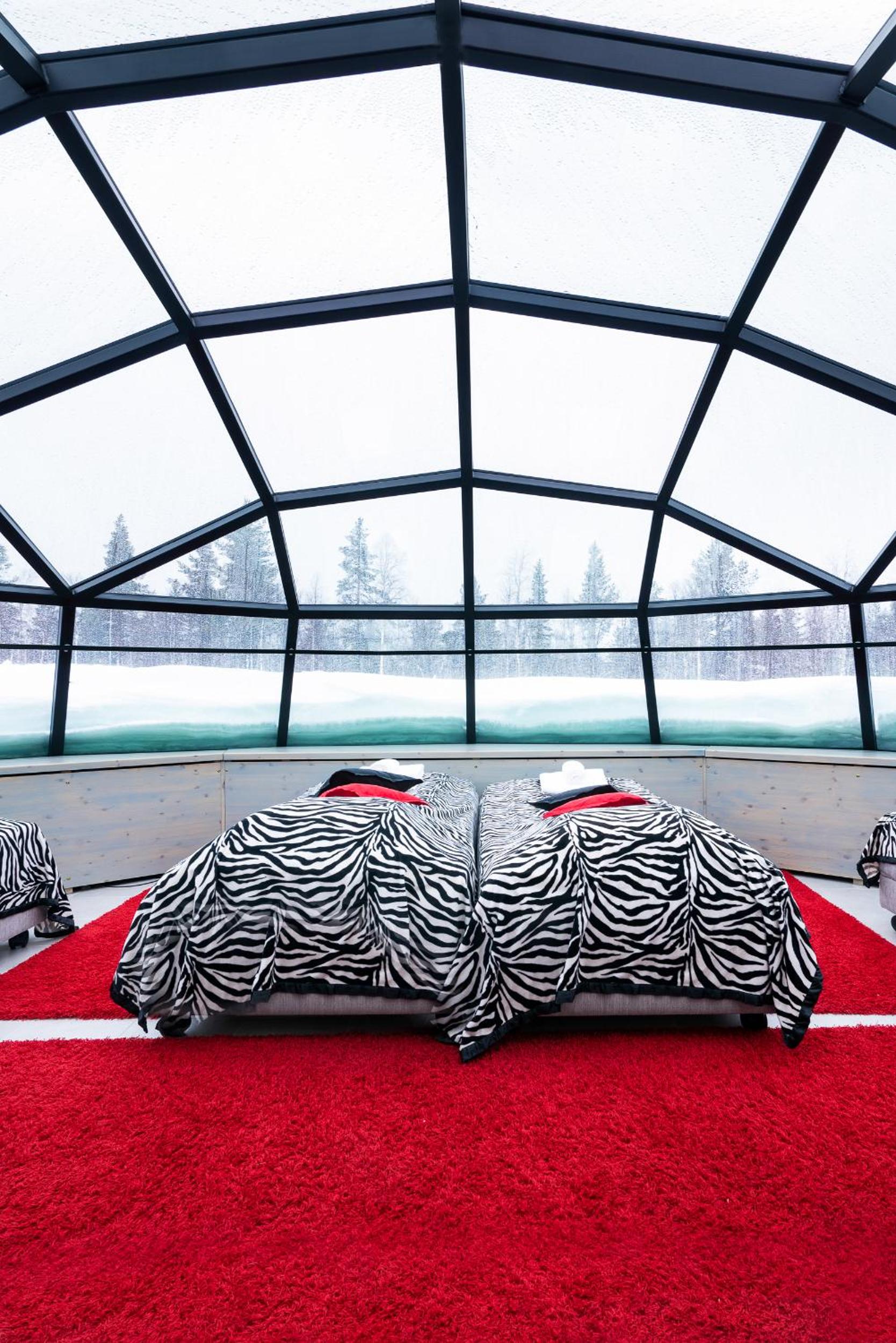 Large Glass Igloo (West Village)
