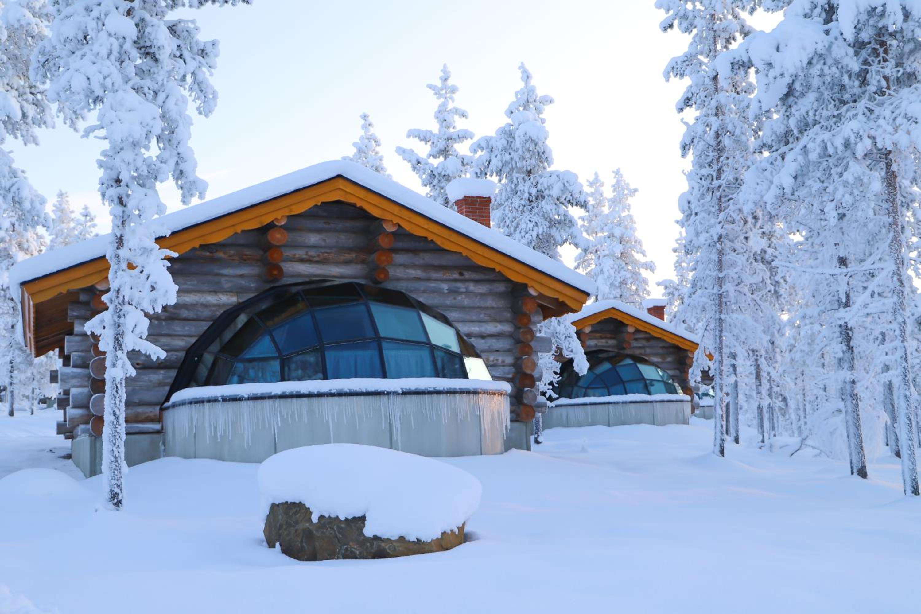 Kelo Glass Igloo - Photo 9