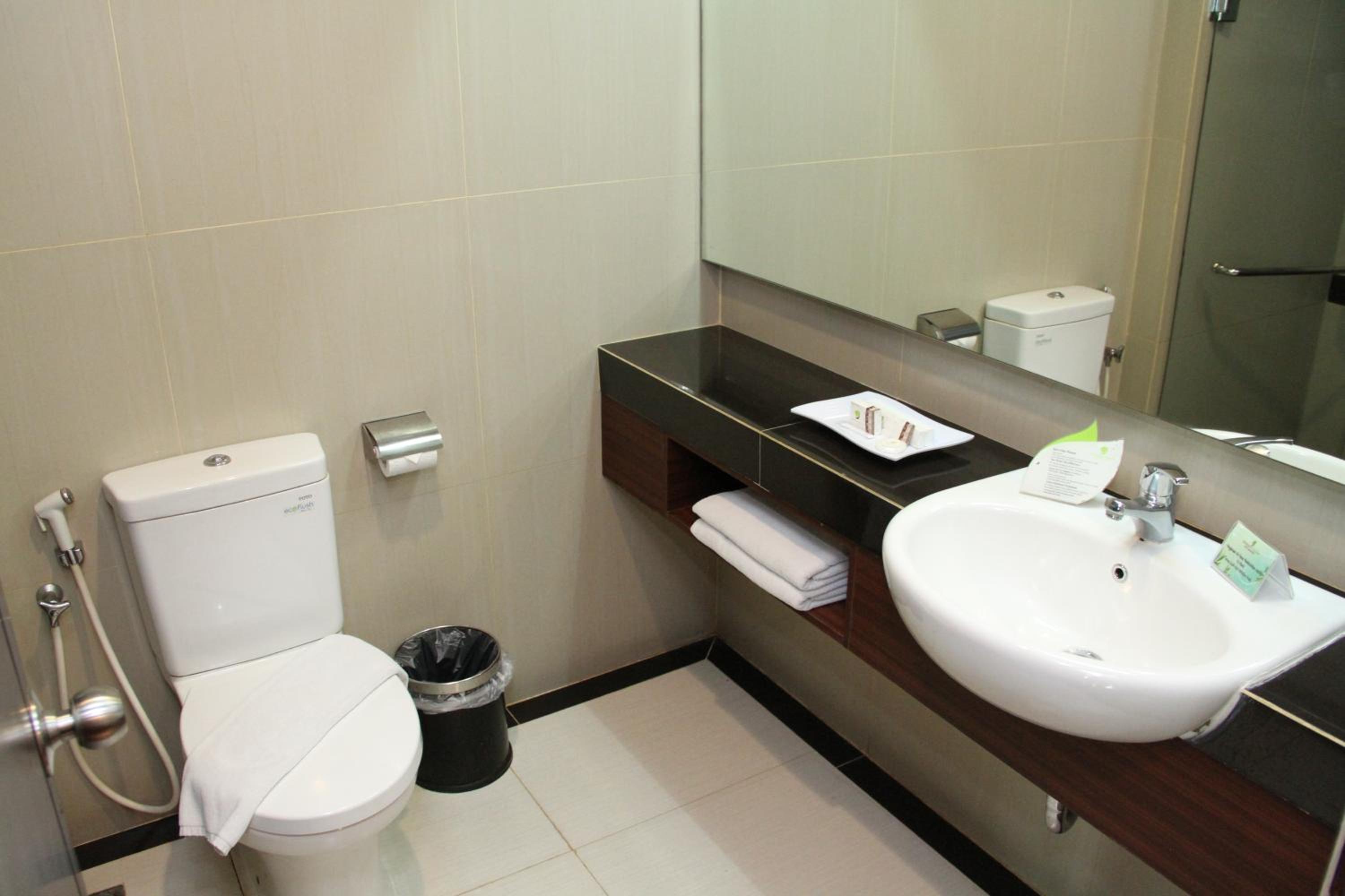 Deluxe Double or Twin Room photo 3