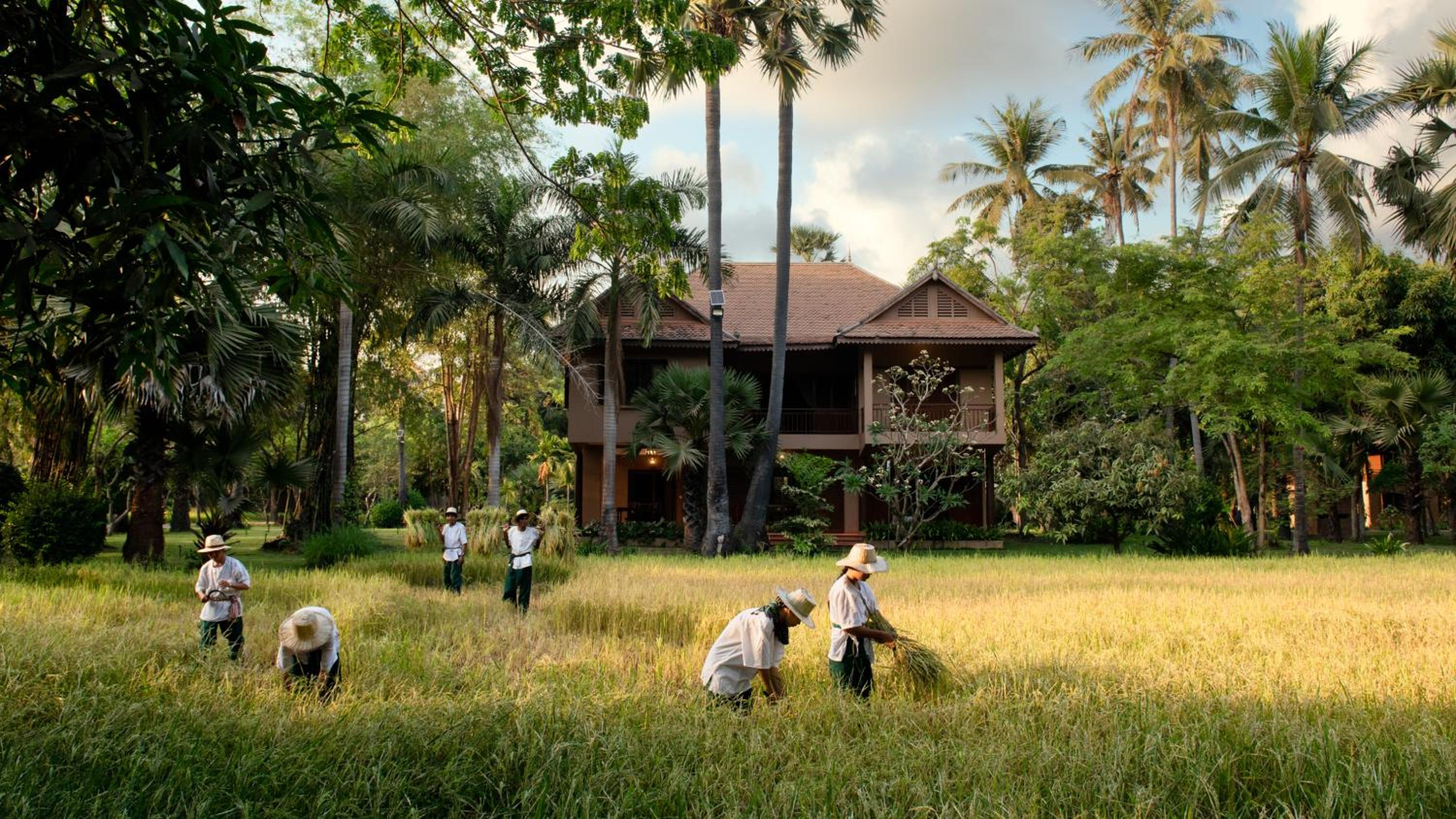 Private Four-Bedroom Home - Daily Afternoon Tea + Personal Butler + Personal Chef