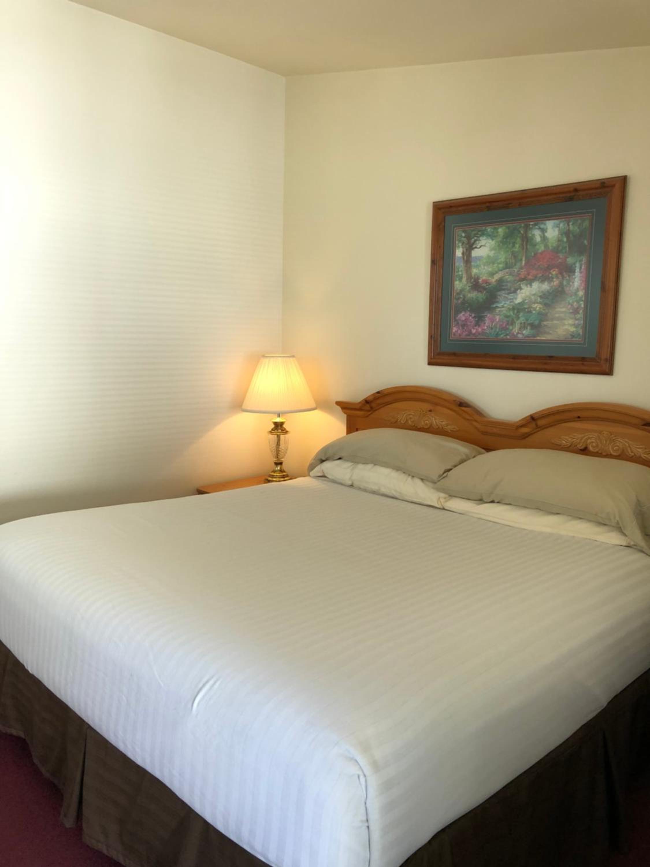 Deluxe King Suite with River View  photo 1