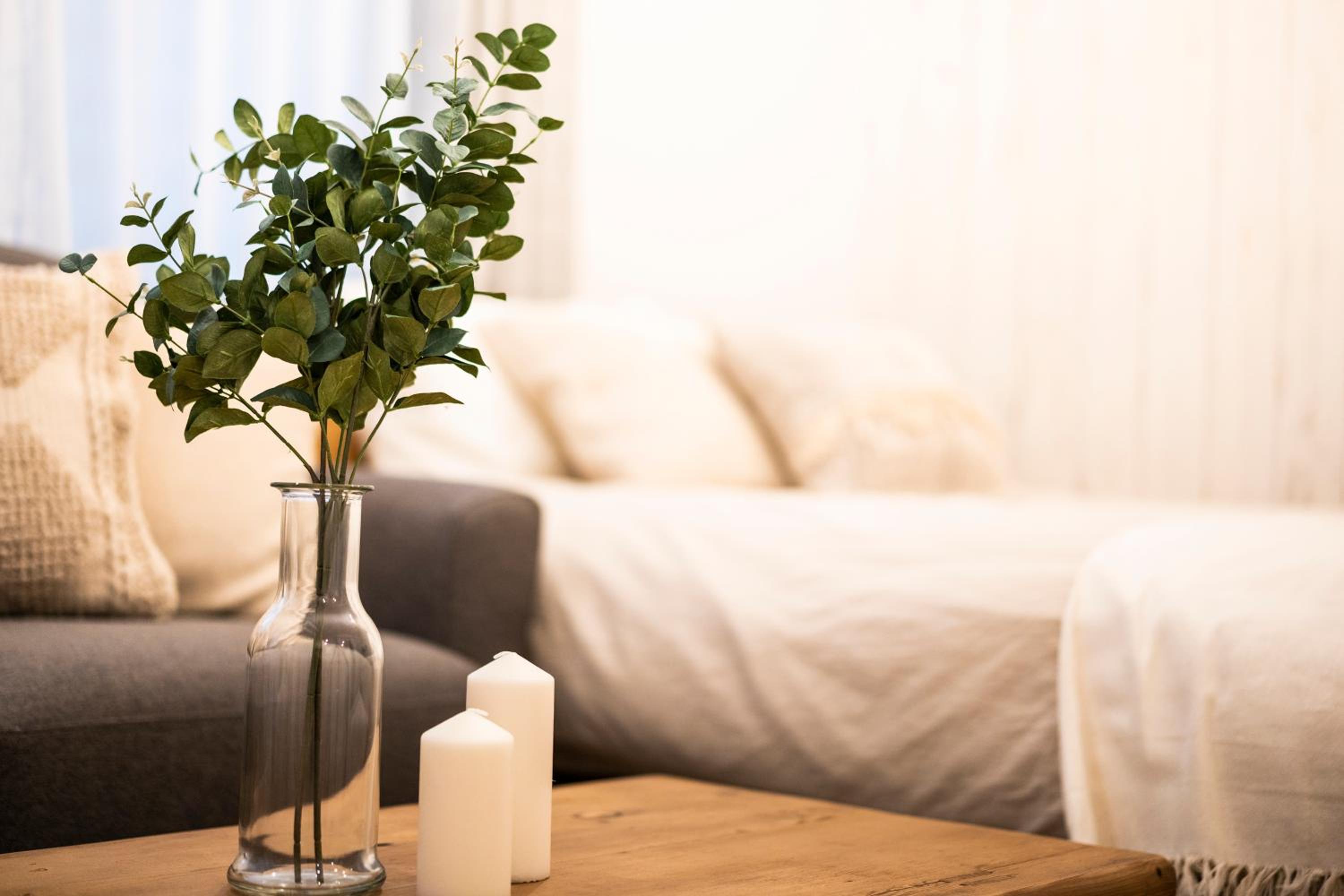 One-Bedroom Apartment 201 photo 2