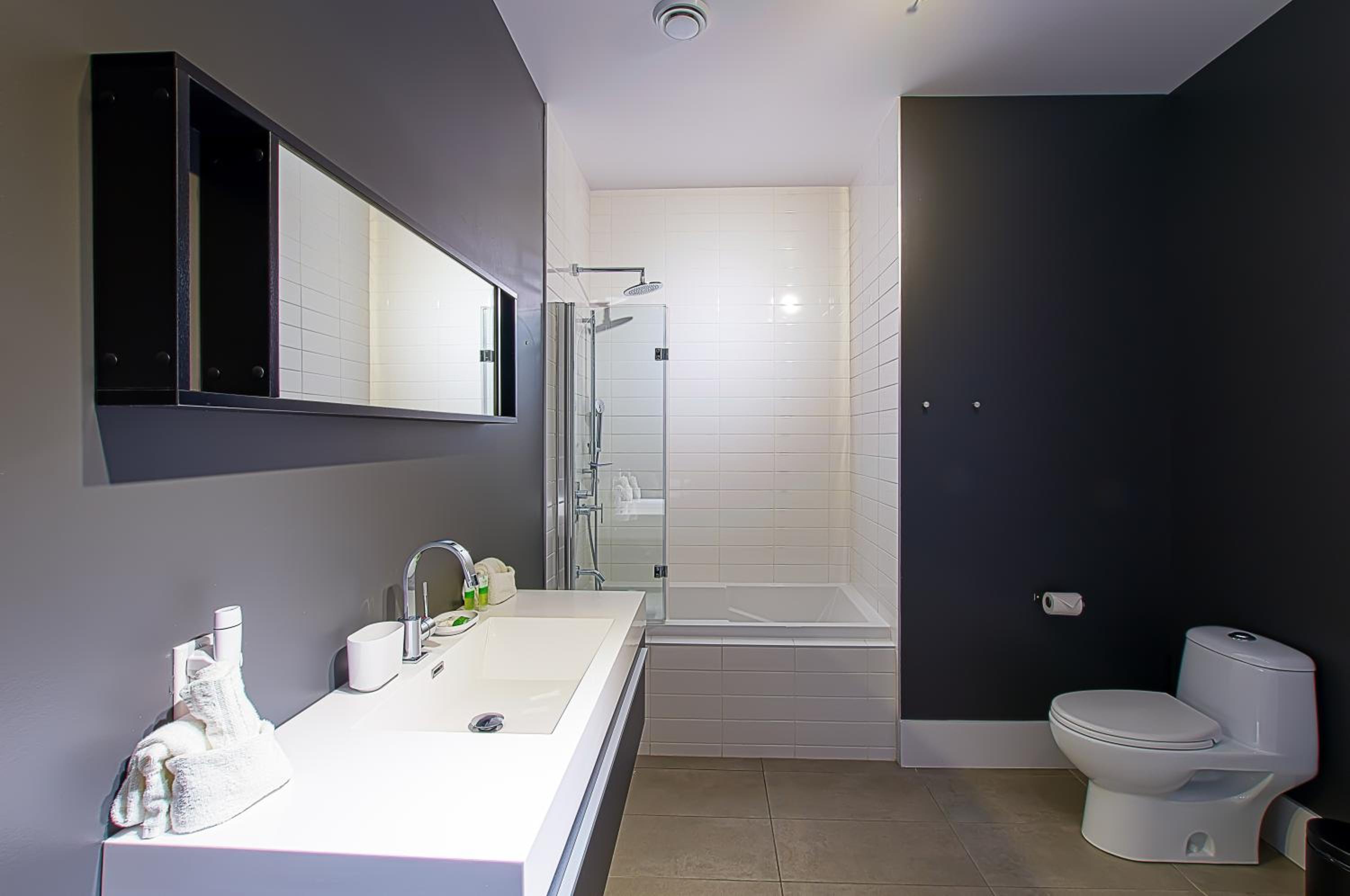 Large One-Bedroom Apartment RC1