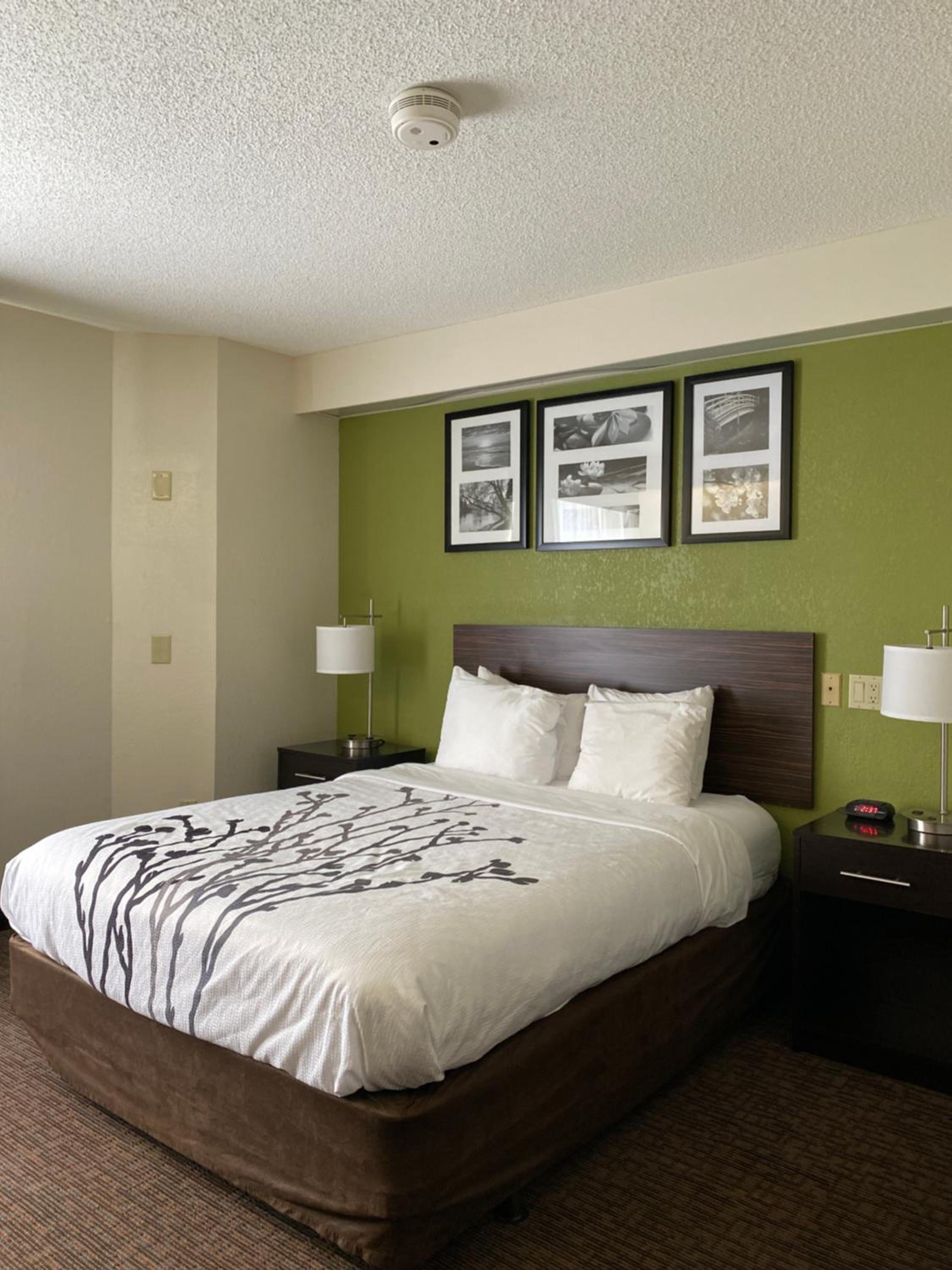 Queen Room - Accessible/Non-Smoking photo 2