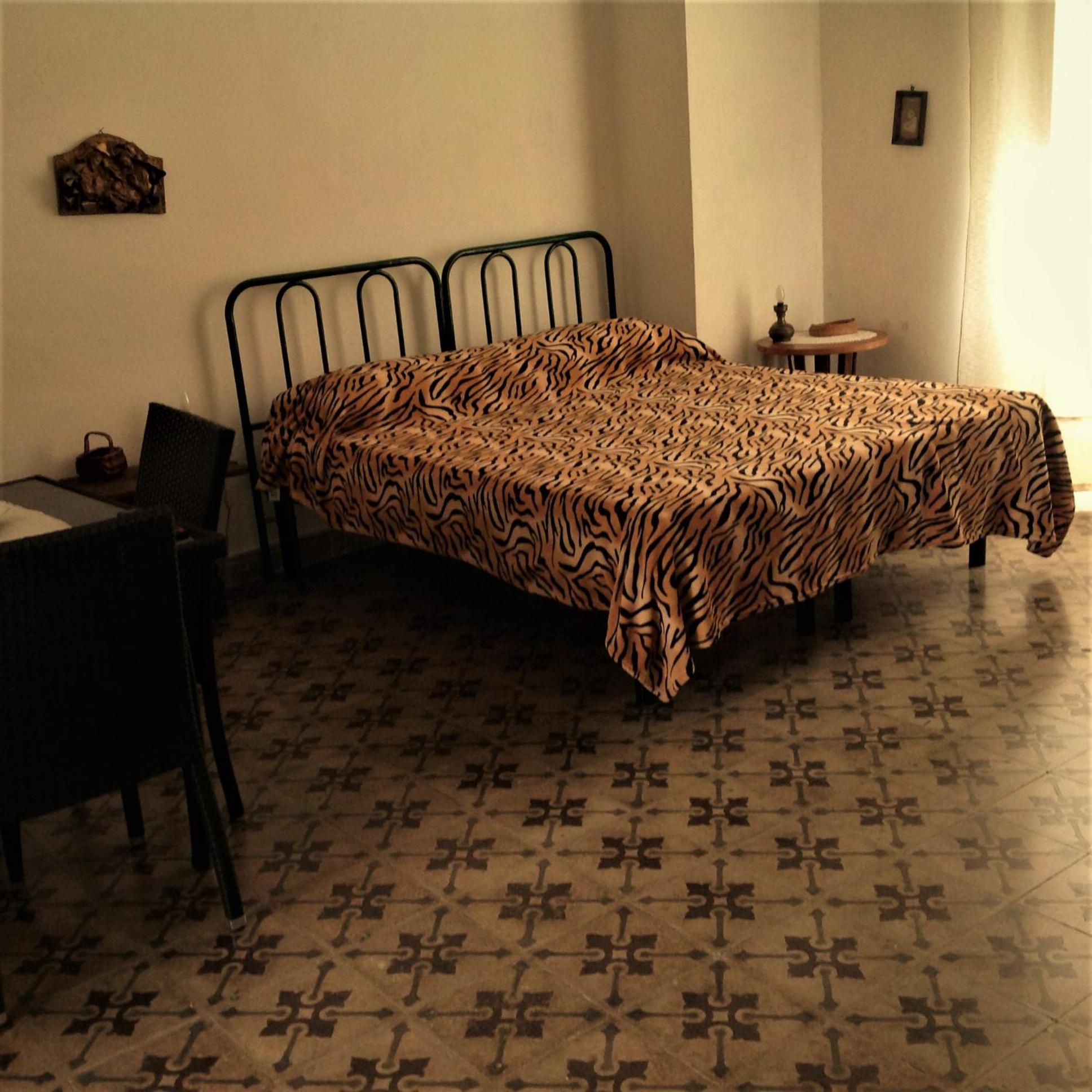 One-Bedroom Apartment (2 Adults) photo 1