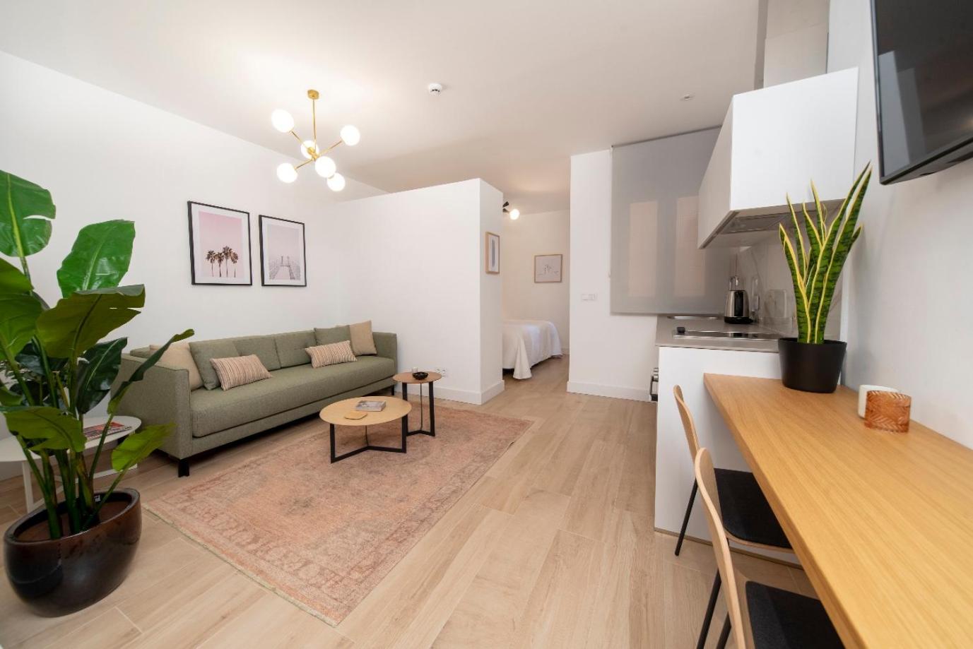 Standard Apartment