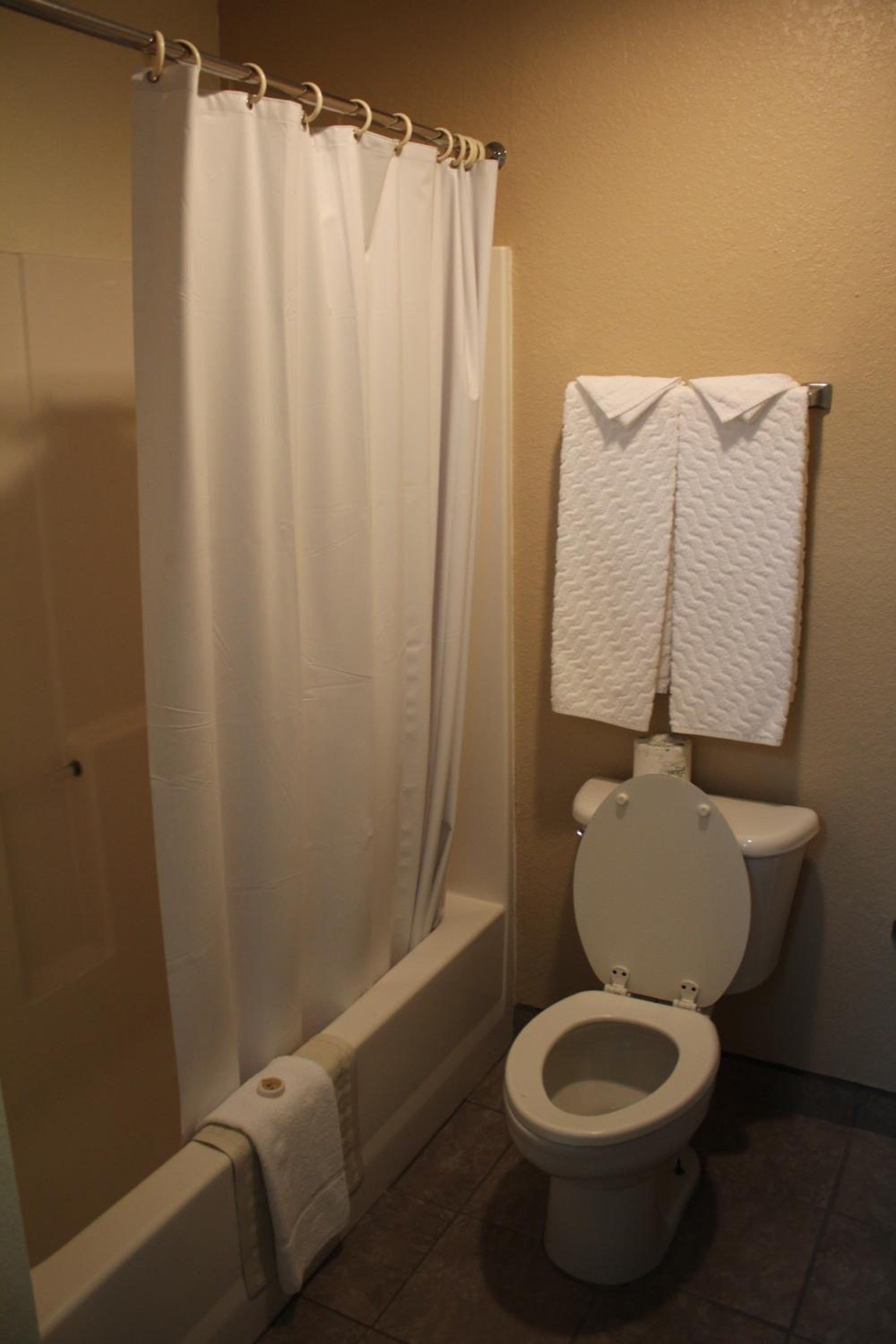 Deluxe Studio with One Queen Bed - Photo 4
