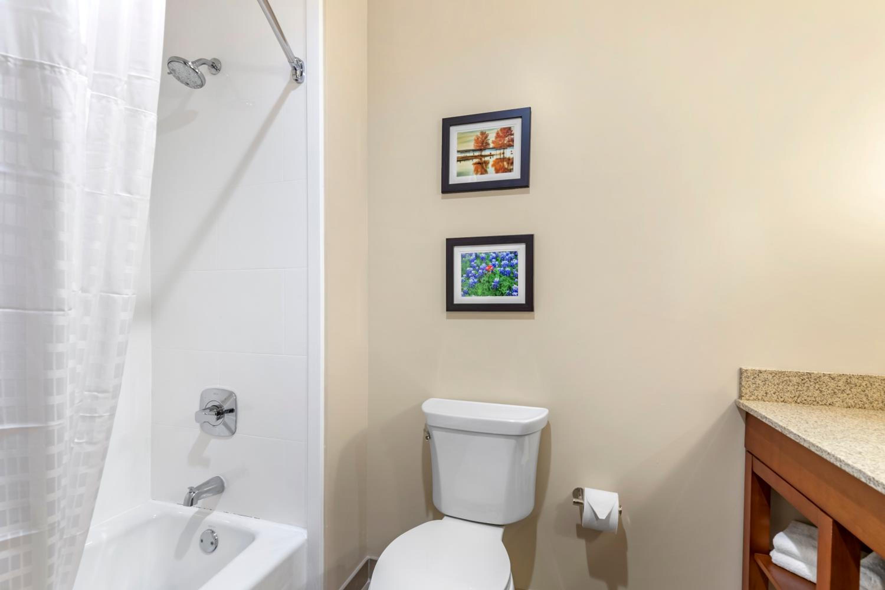 King Suite - Non-Smoking - Photo 6