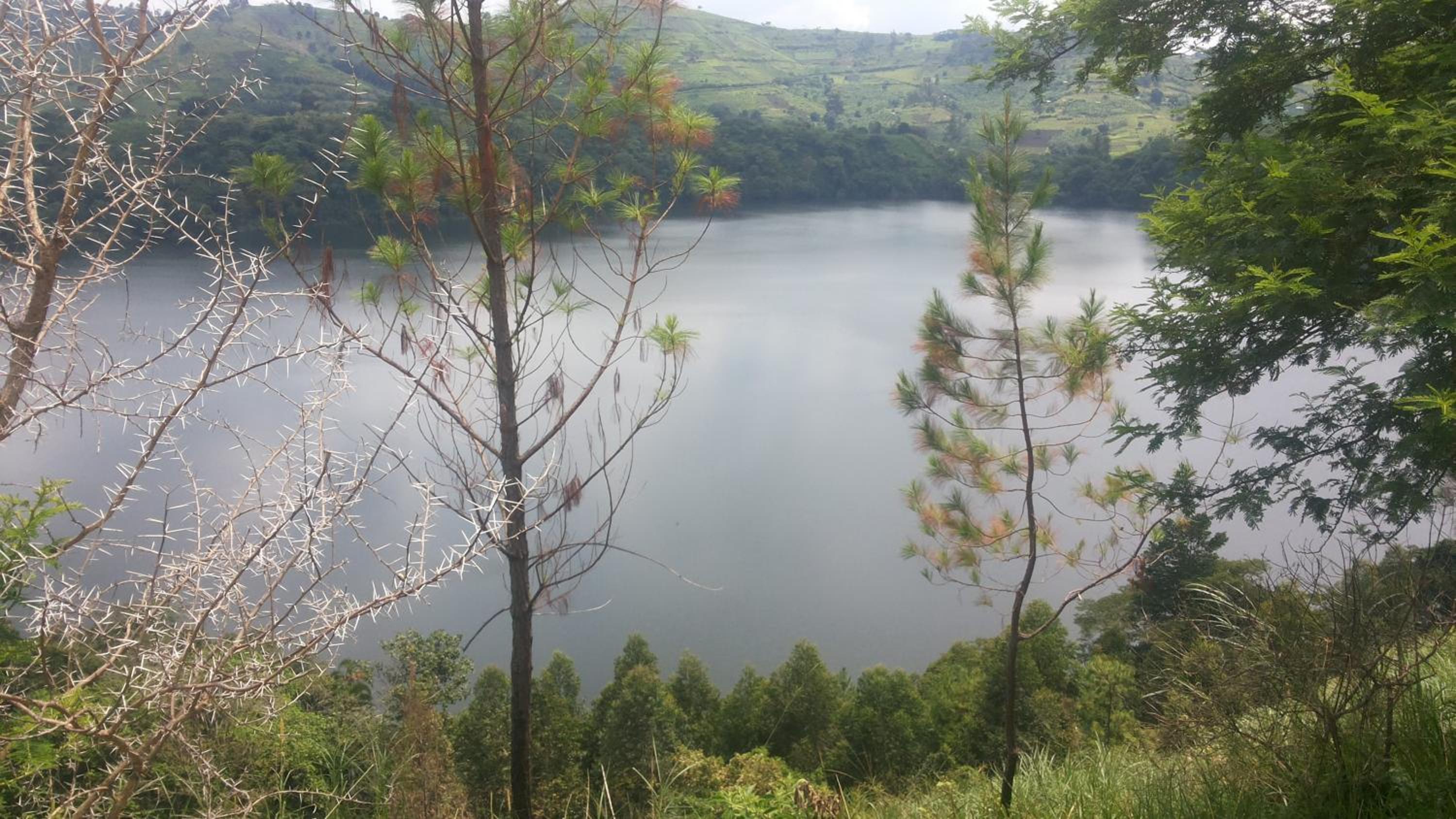 Twin Room with Lake View photo 3