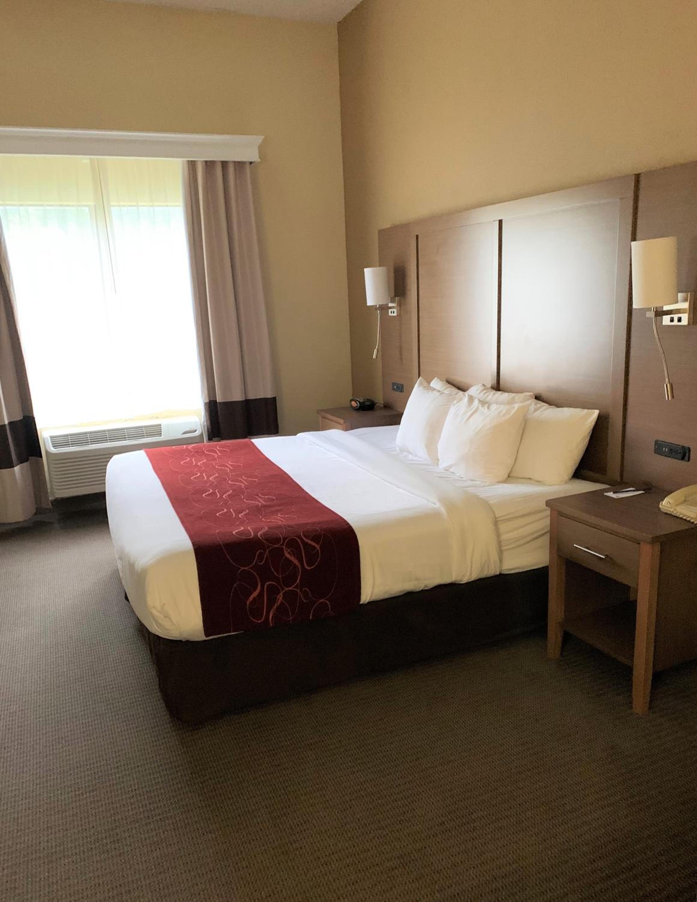 King Suite - Photo 4