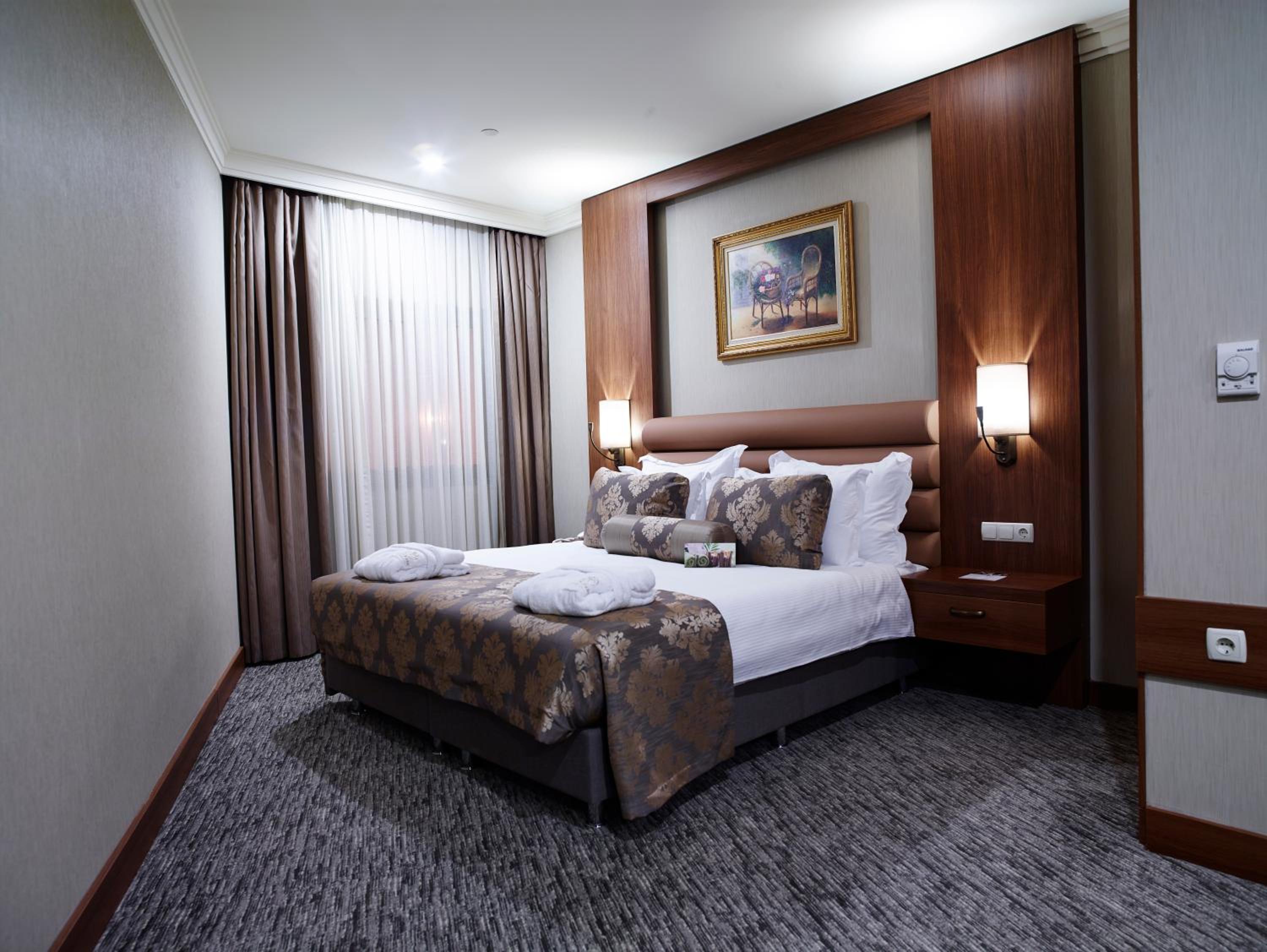 Deluxe Double Room photo 3