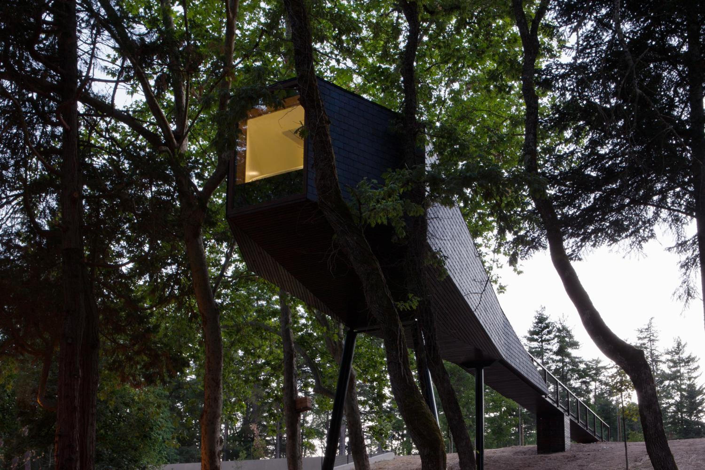 Tree House photo 2