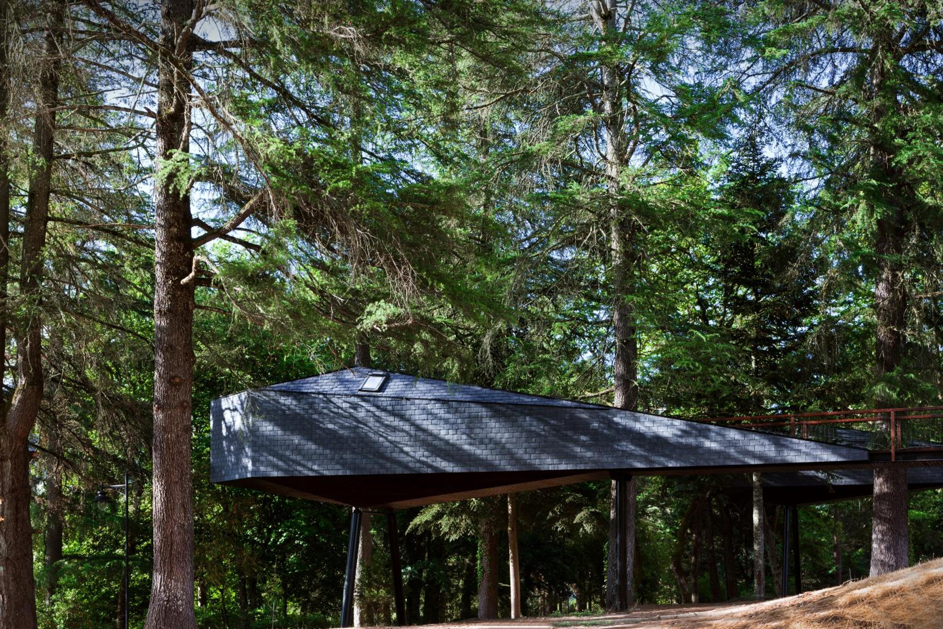 Tree House photo 3