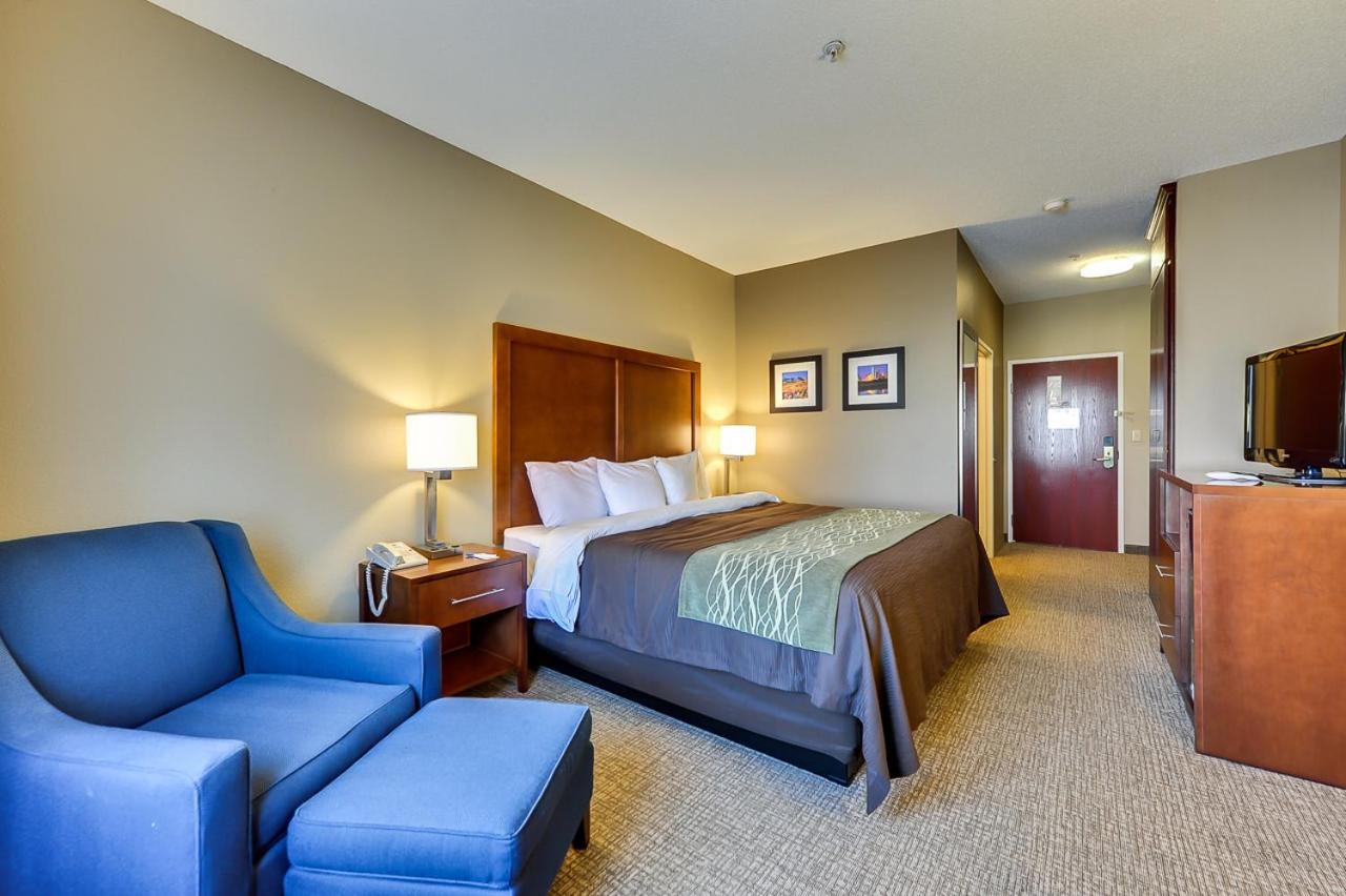 King Room - Non-Smoking - Photo 5