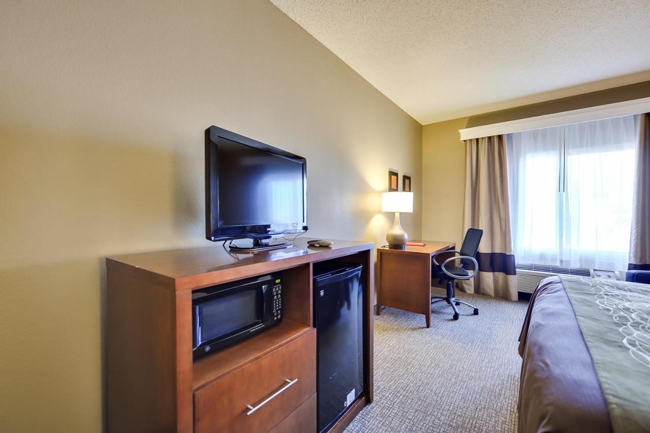 King Room - Non-Smoking - Photo 4