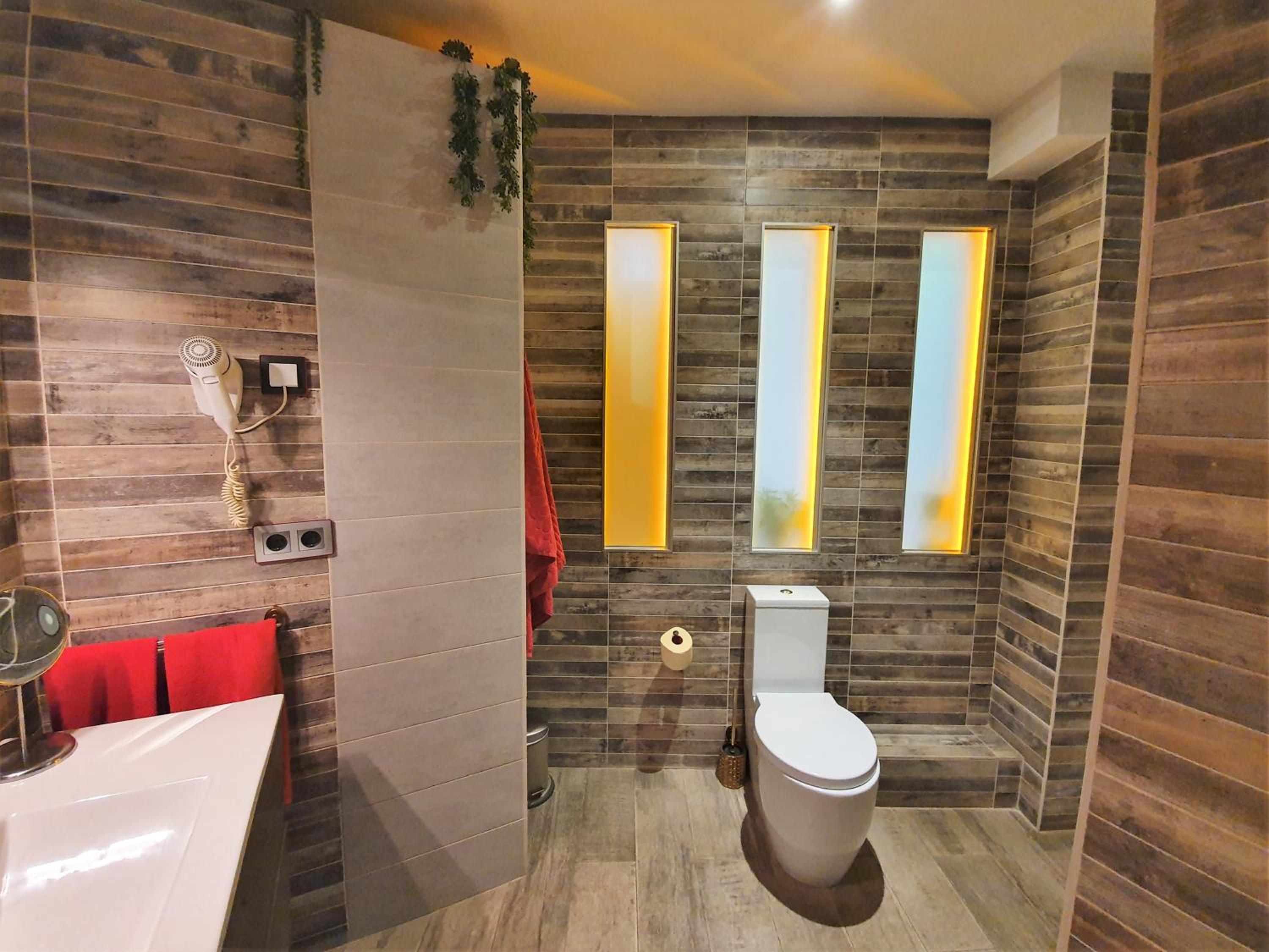Superior One-Bedroom Apartment with Terrace photo 2