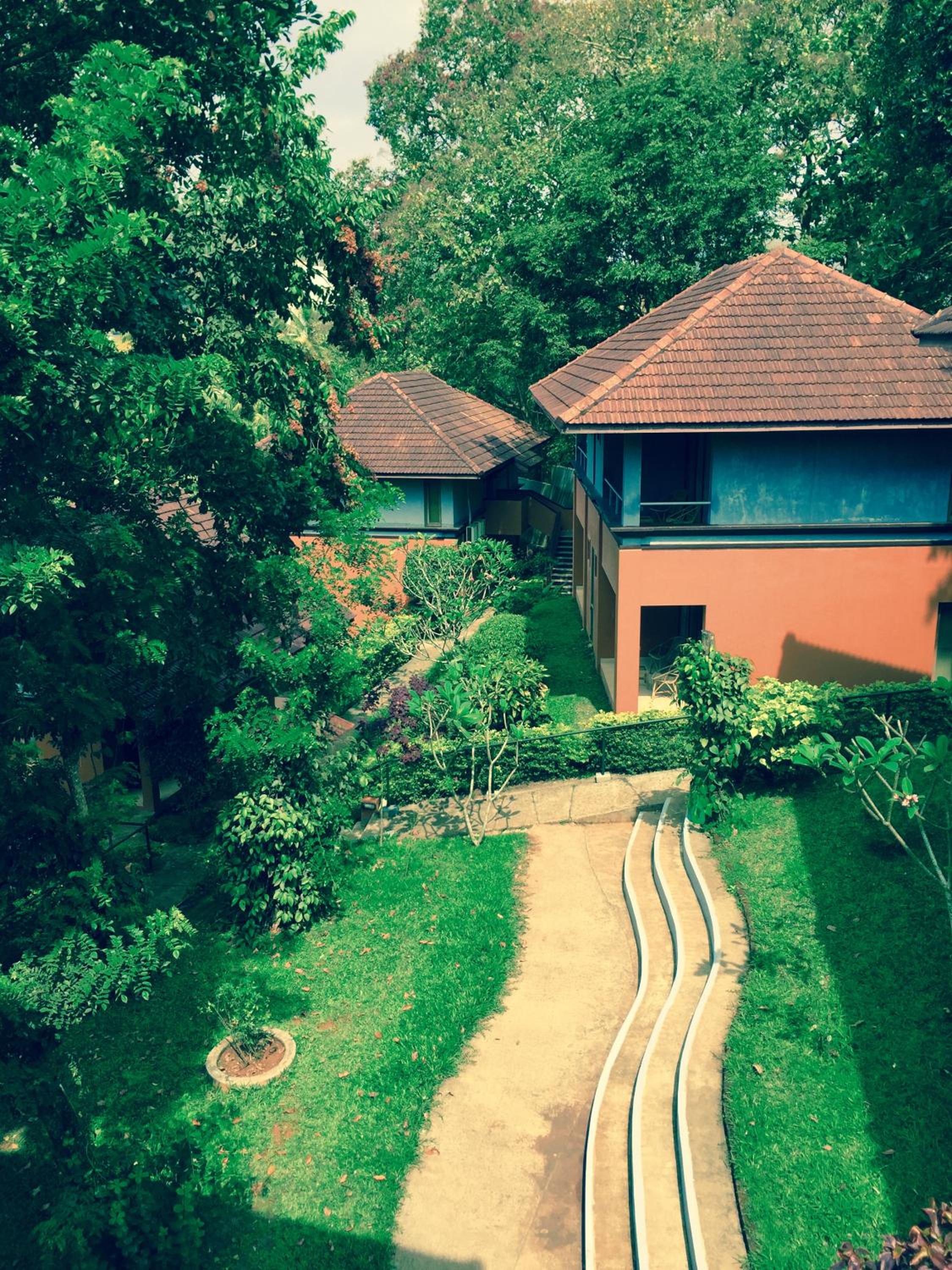 AC Jungle Cottage - Photo 15