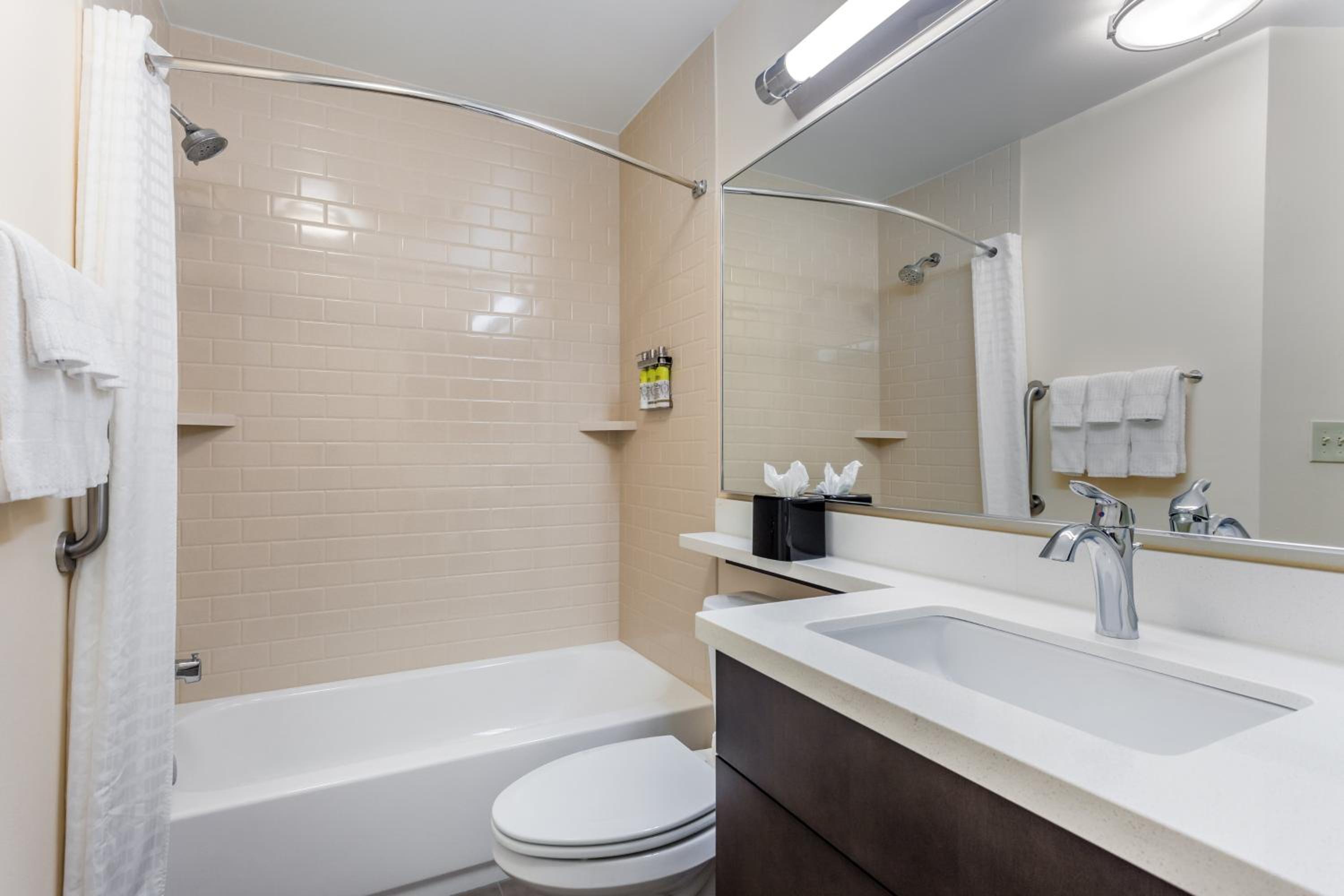King Studio Suite photo 3