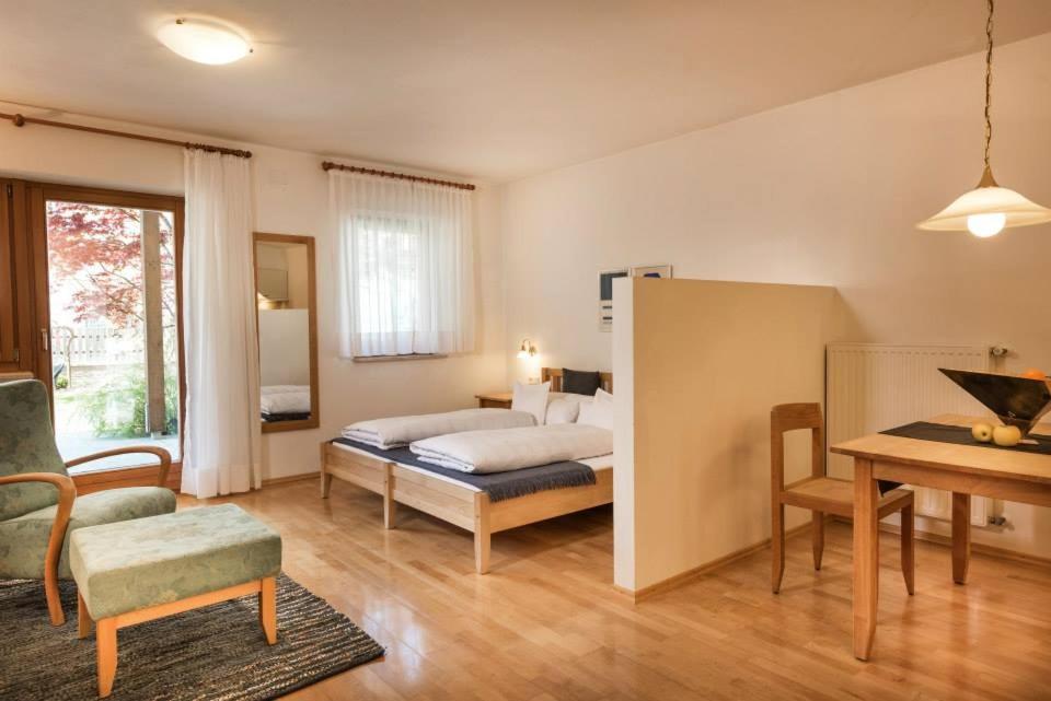 Superior Apartment with One Bedroom and Terrace photo 2