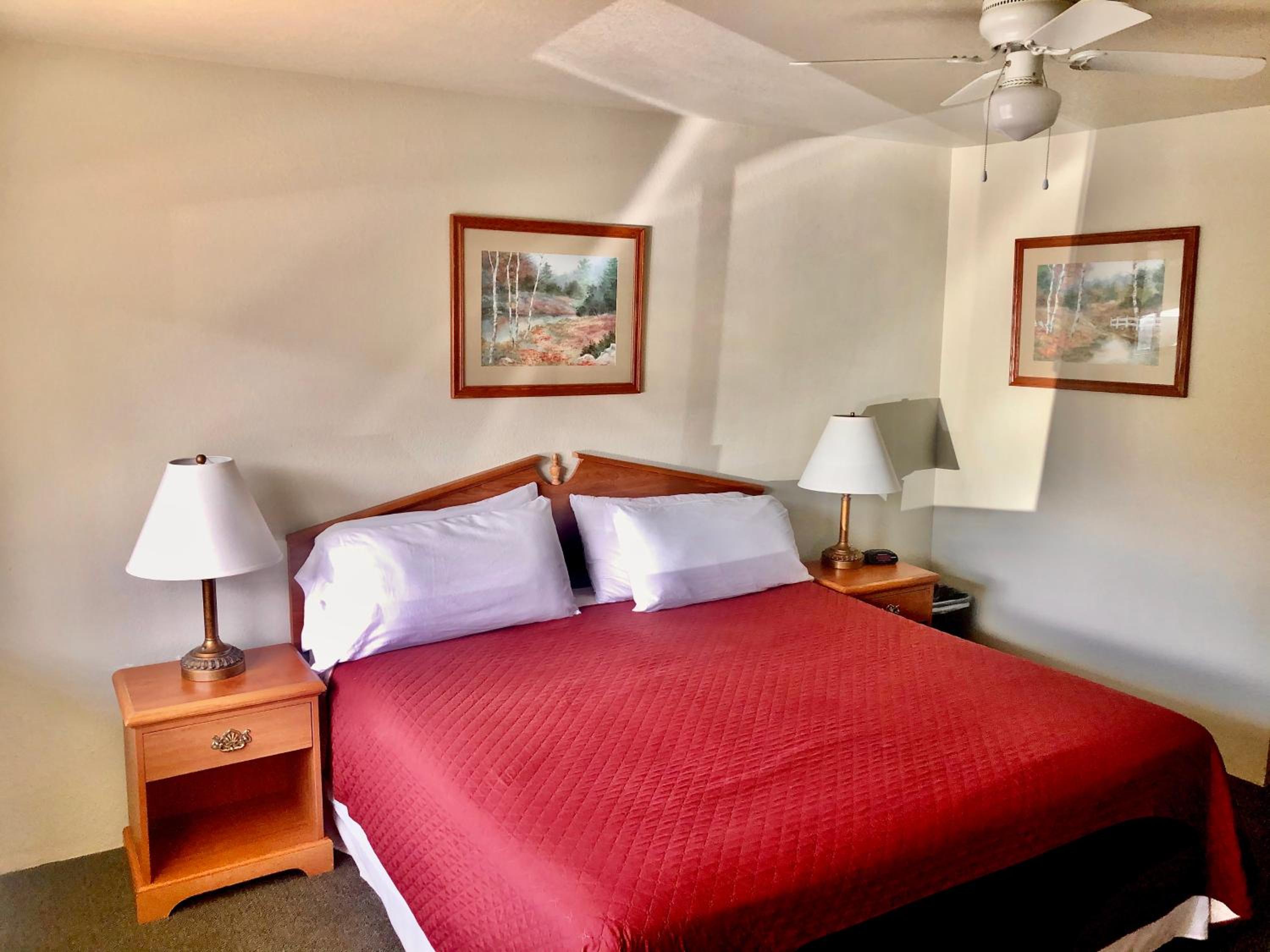 King Room - Photo 4