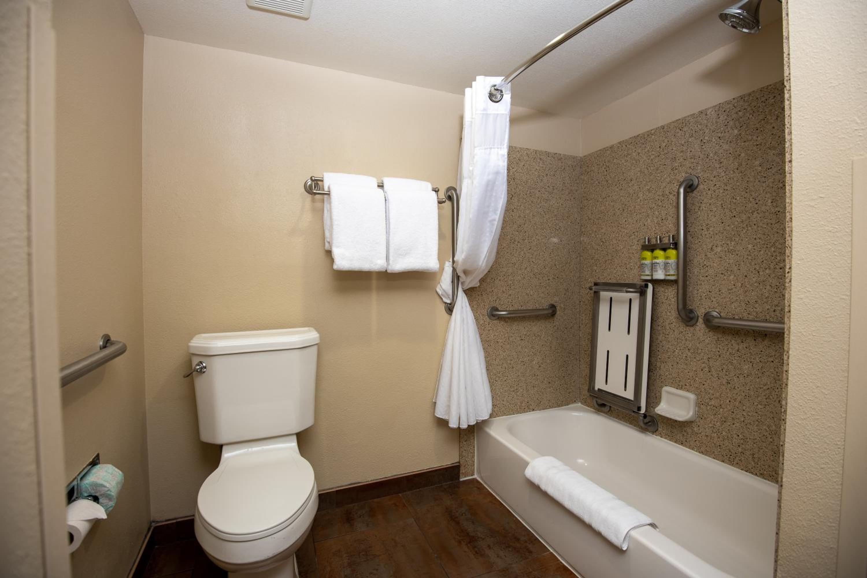 One-Bedroom Suite with Tub - Mobility Accessible photo 3