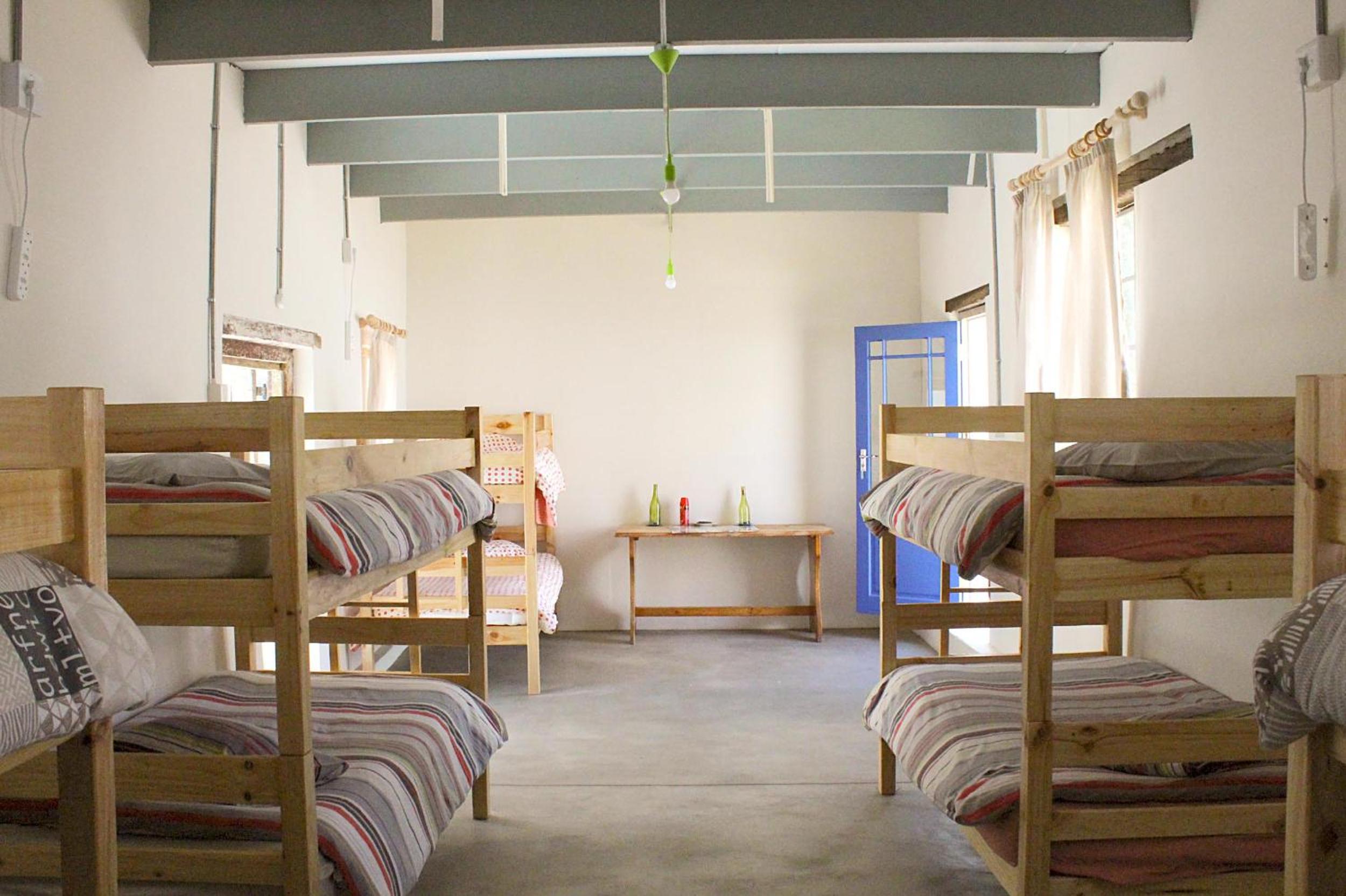Bunk Bed in Mixed Dormitory Room photo 1