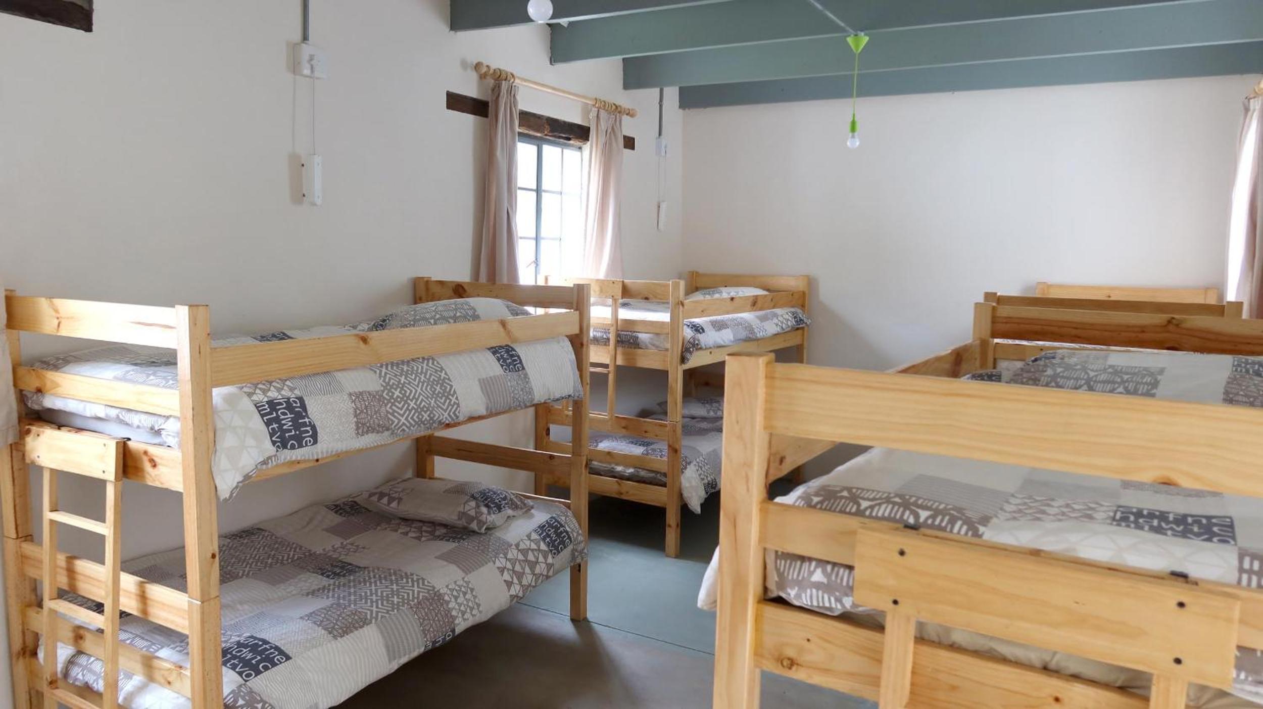 Bunk Bed in Mixed Dormitory Room photo 2
