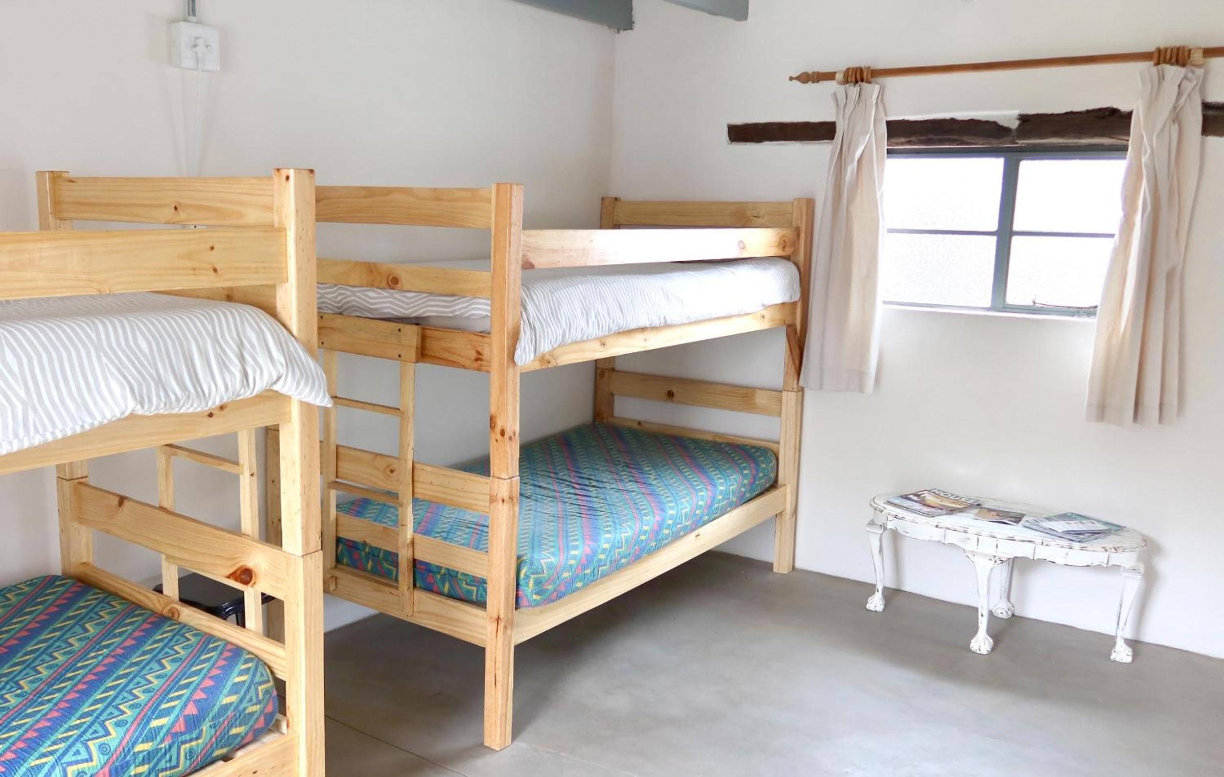 Bunk Bed in Mixed Dormitory Room photo 3
