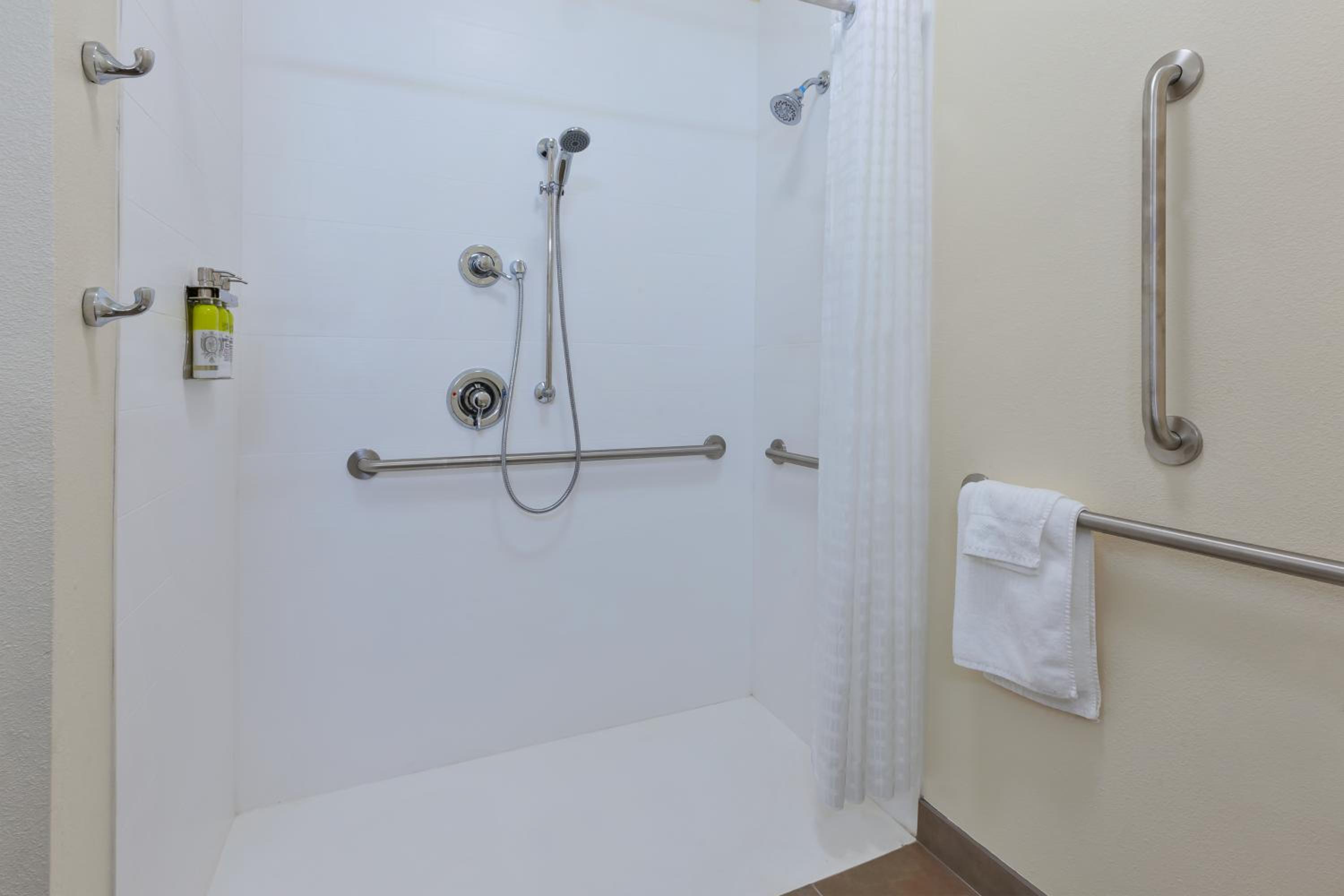 Queen Studio Suite - Mobility Access Roll in Shower/Non-Smoking - Photo 6