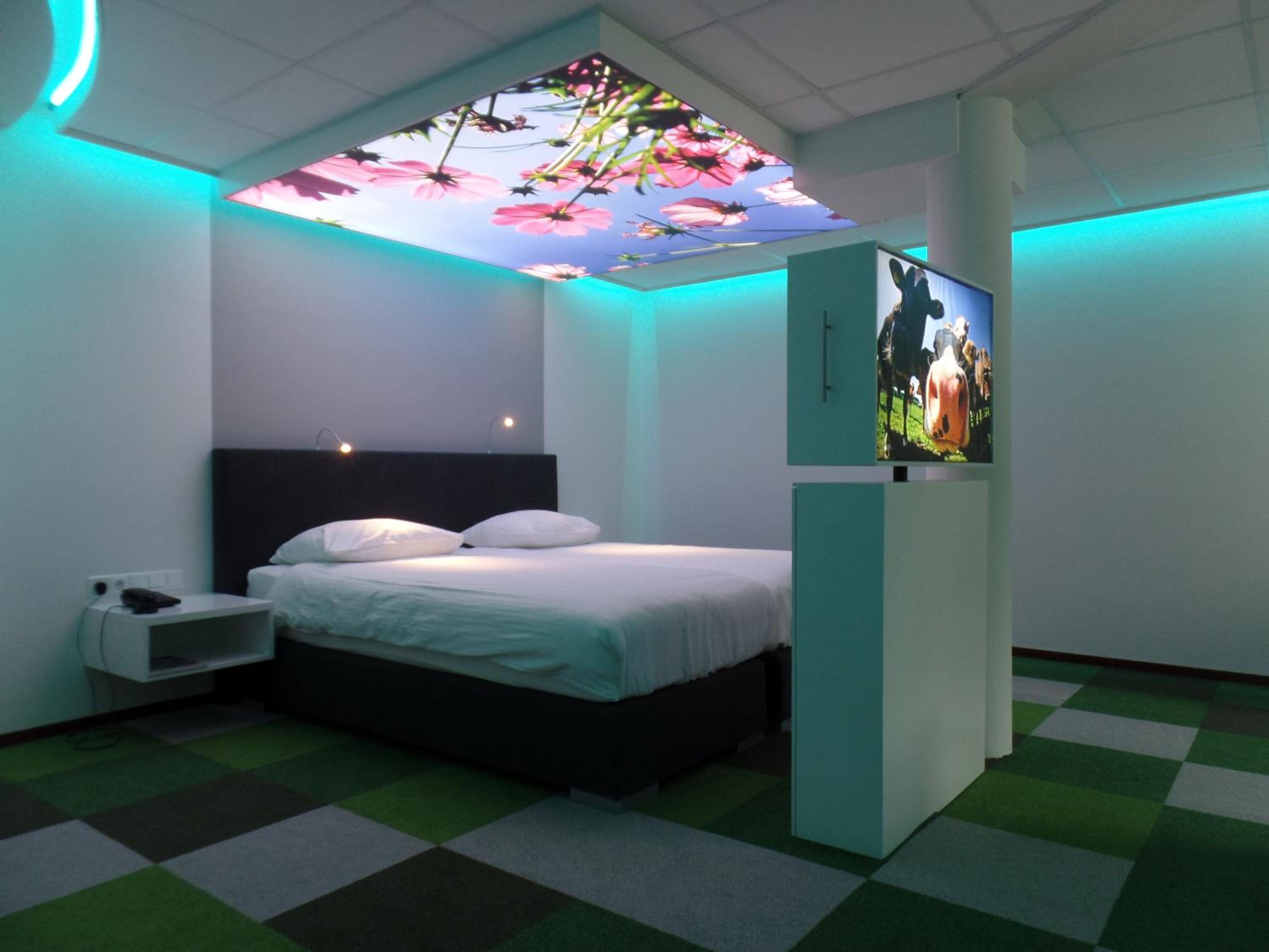 Suite - Photo 1