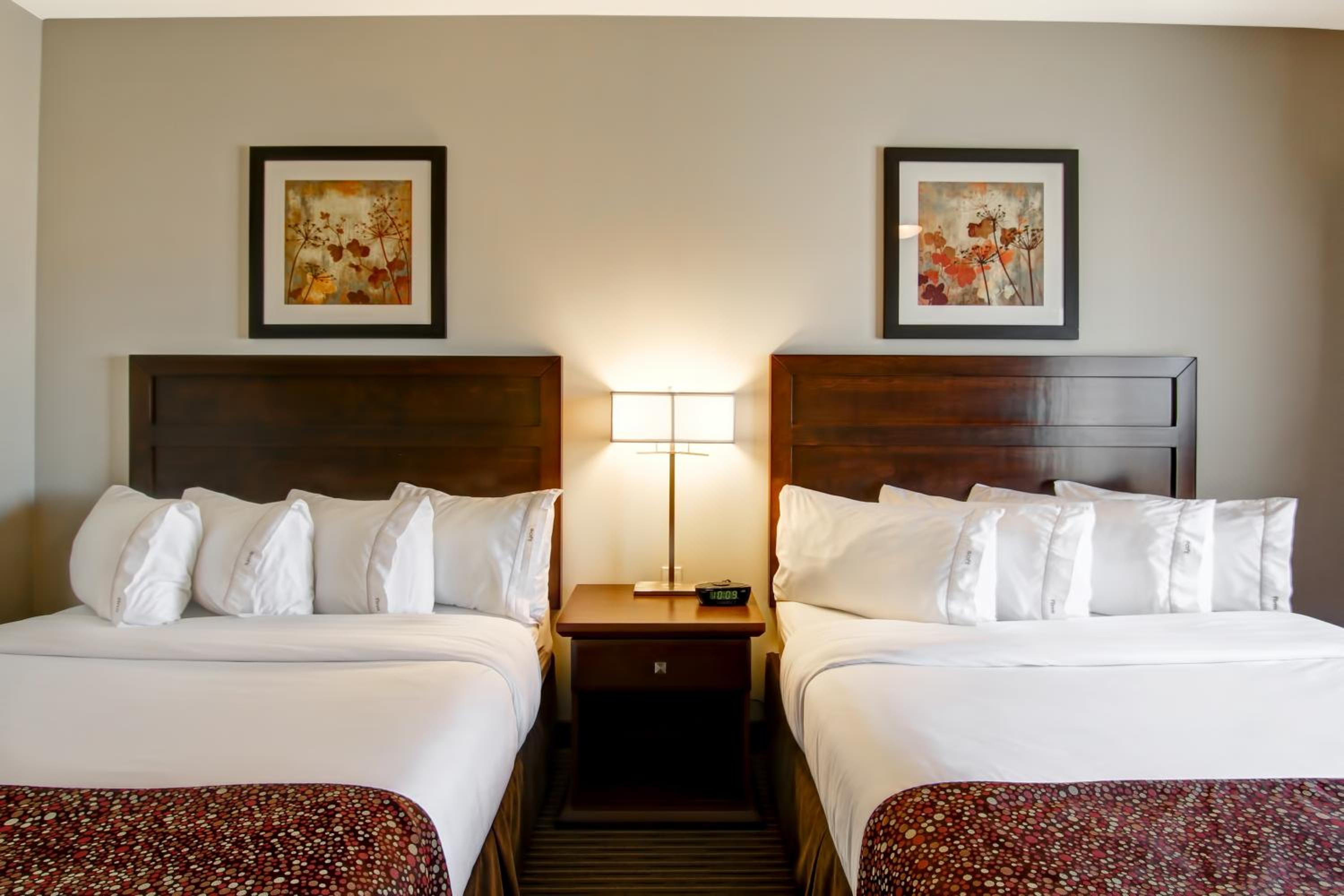Standard Queen Room with Two Queen Beds photo 2