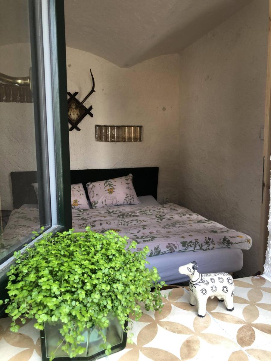 Standard Quadruple Room photo 1