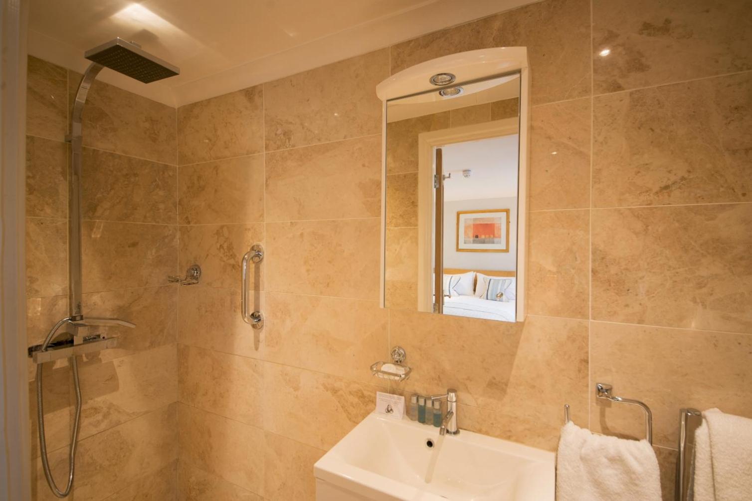 Deluxe Double or Twin Room photo 3