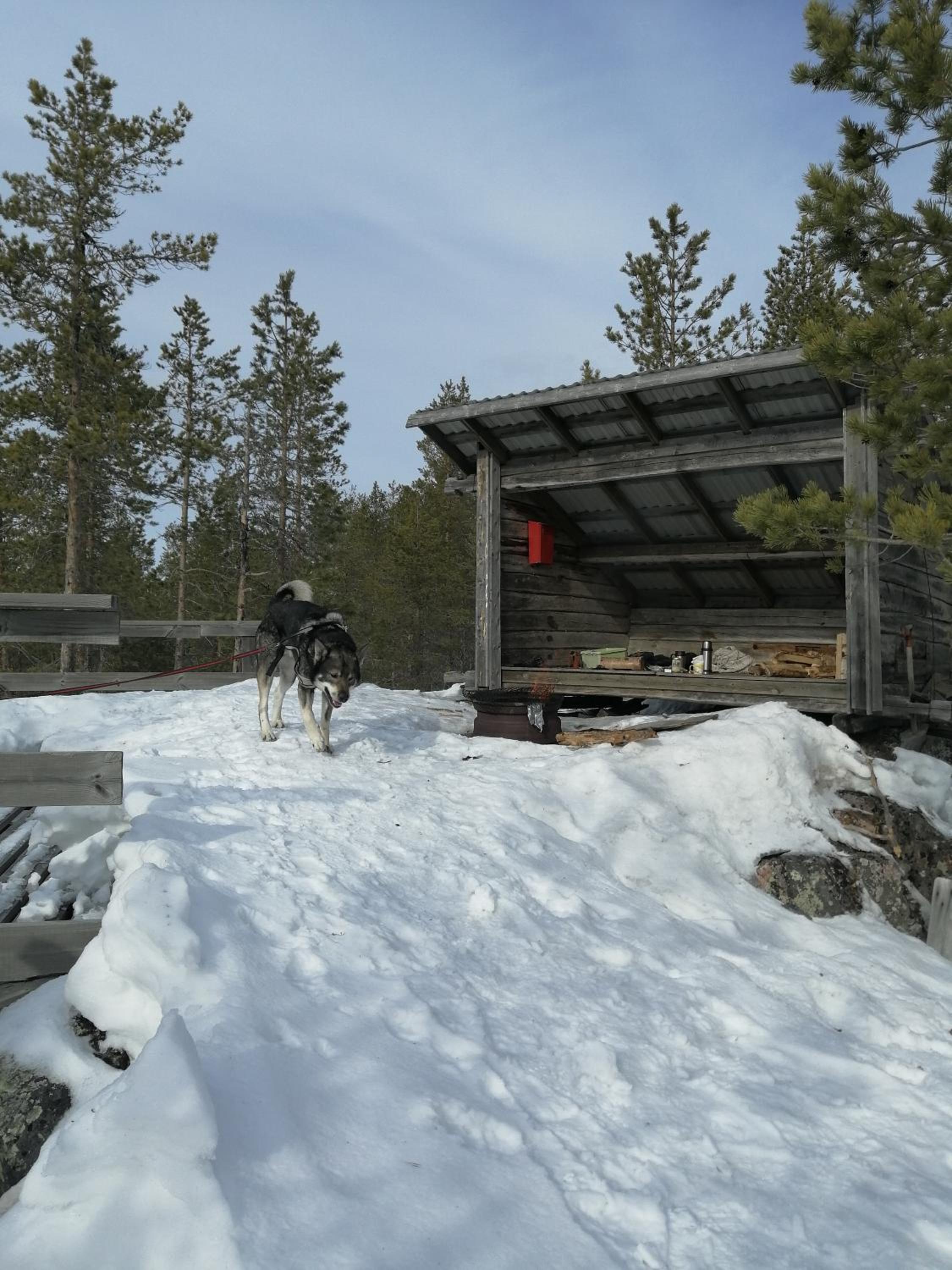 Chalet - Photo 1