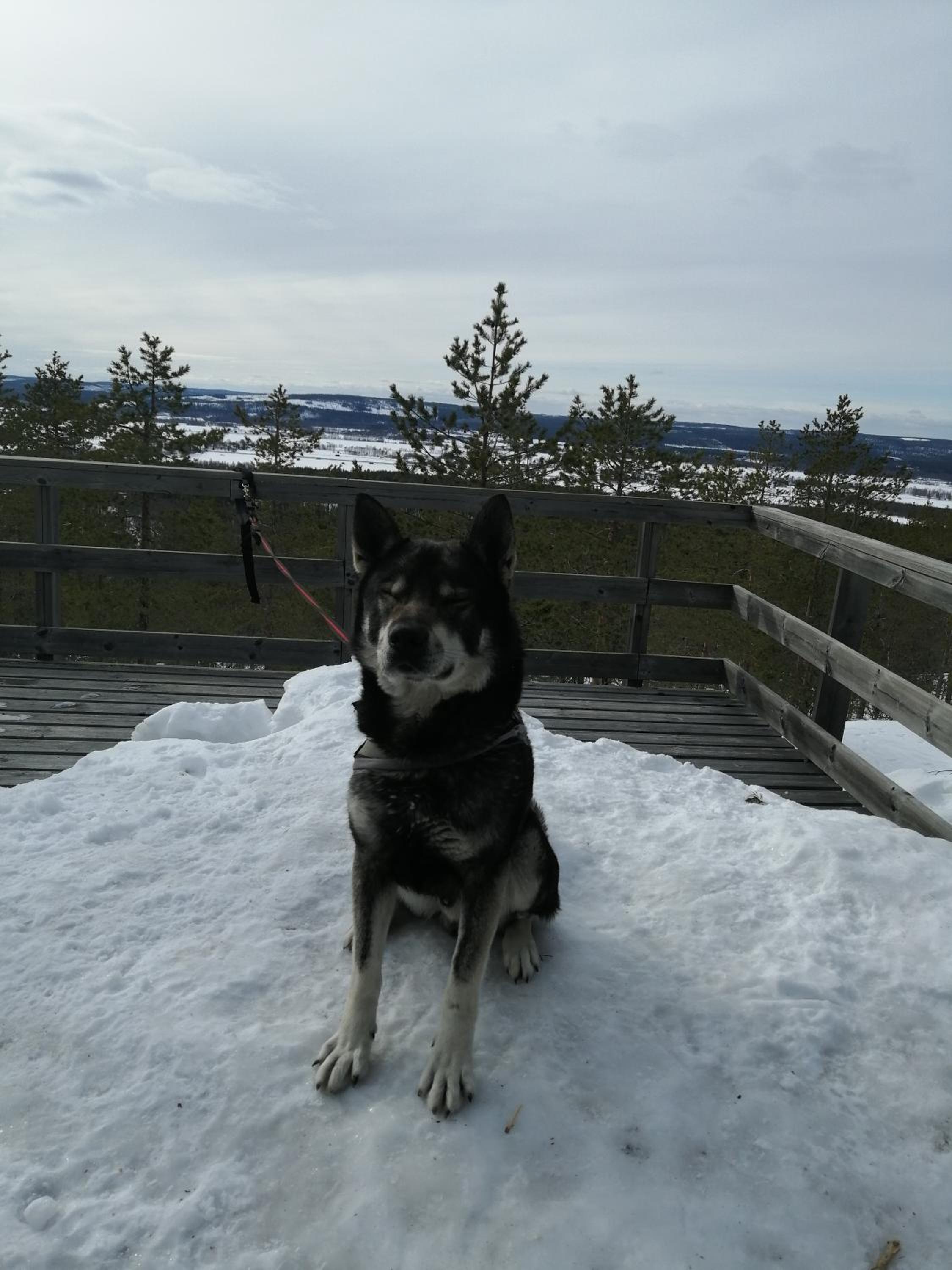 Chalet - Photo 11
