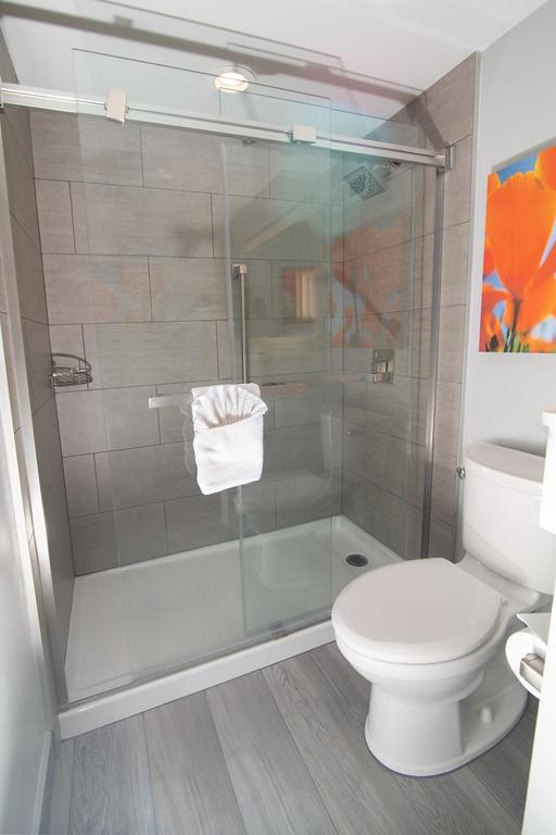 King Room - Disability Access photo 3