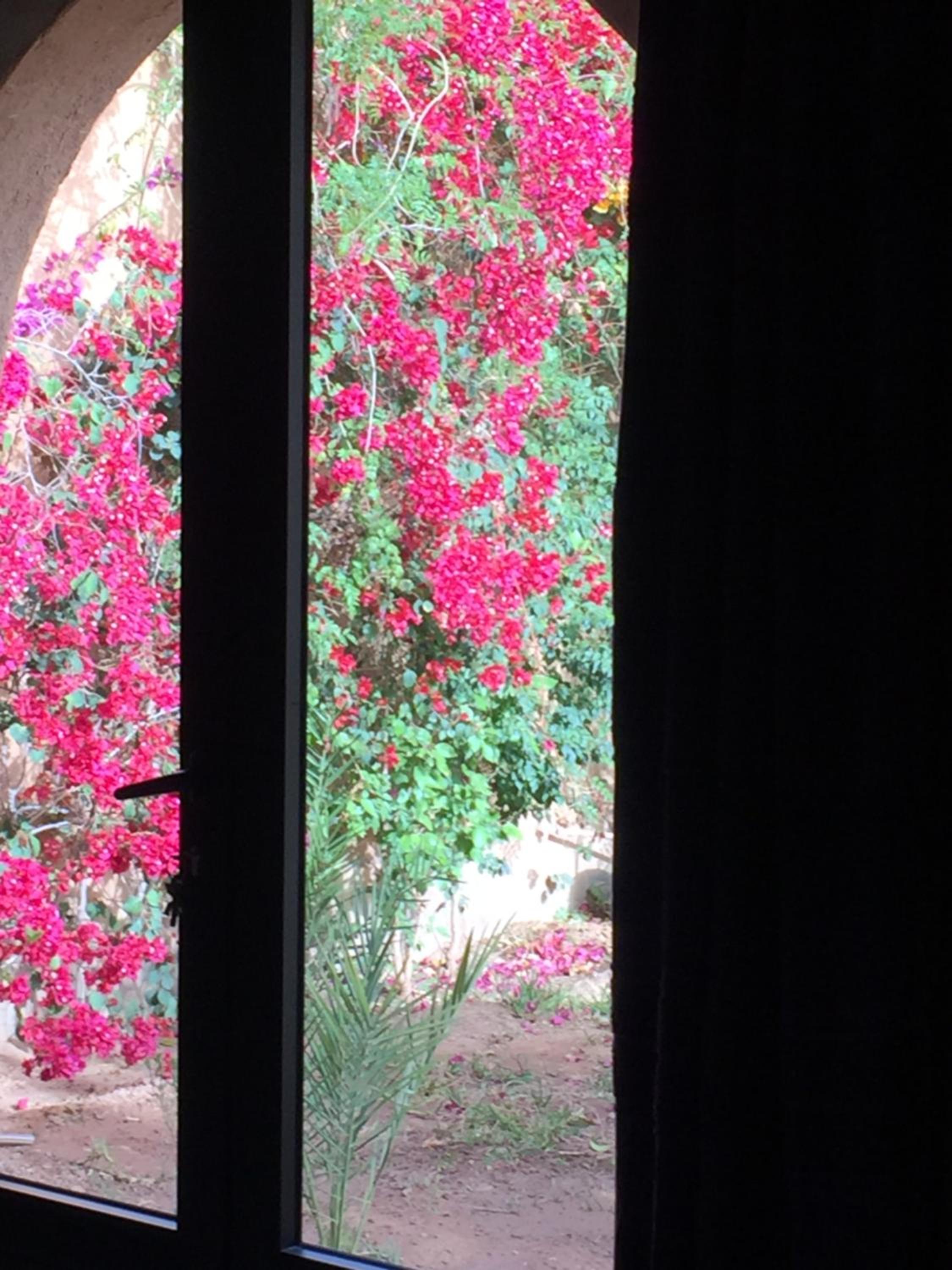 Twin Room with Garden View - Photo 7