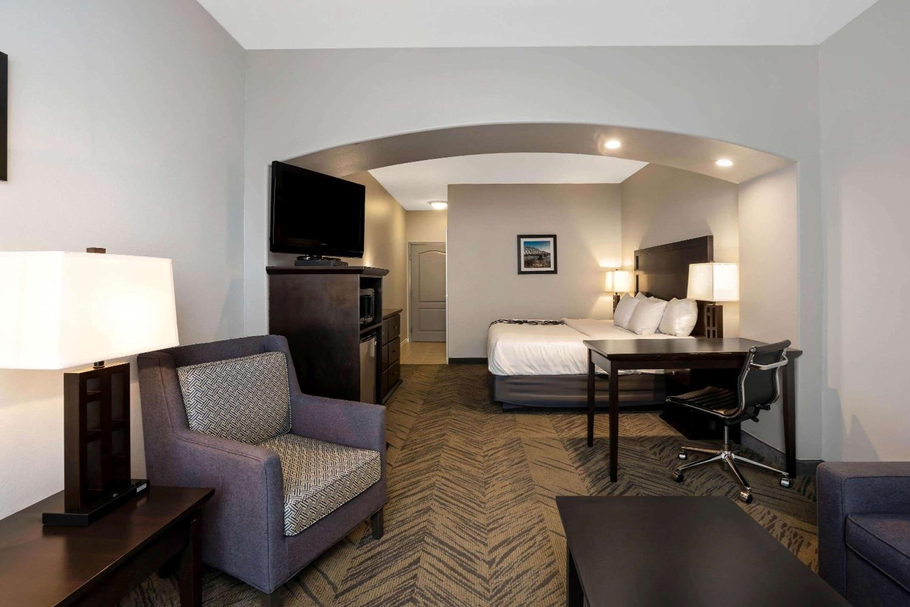 Deluxe King Suite - Photo 9
