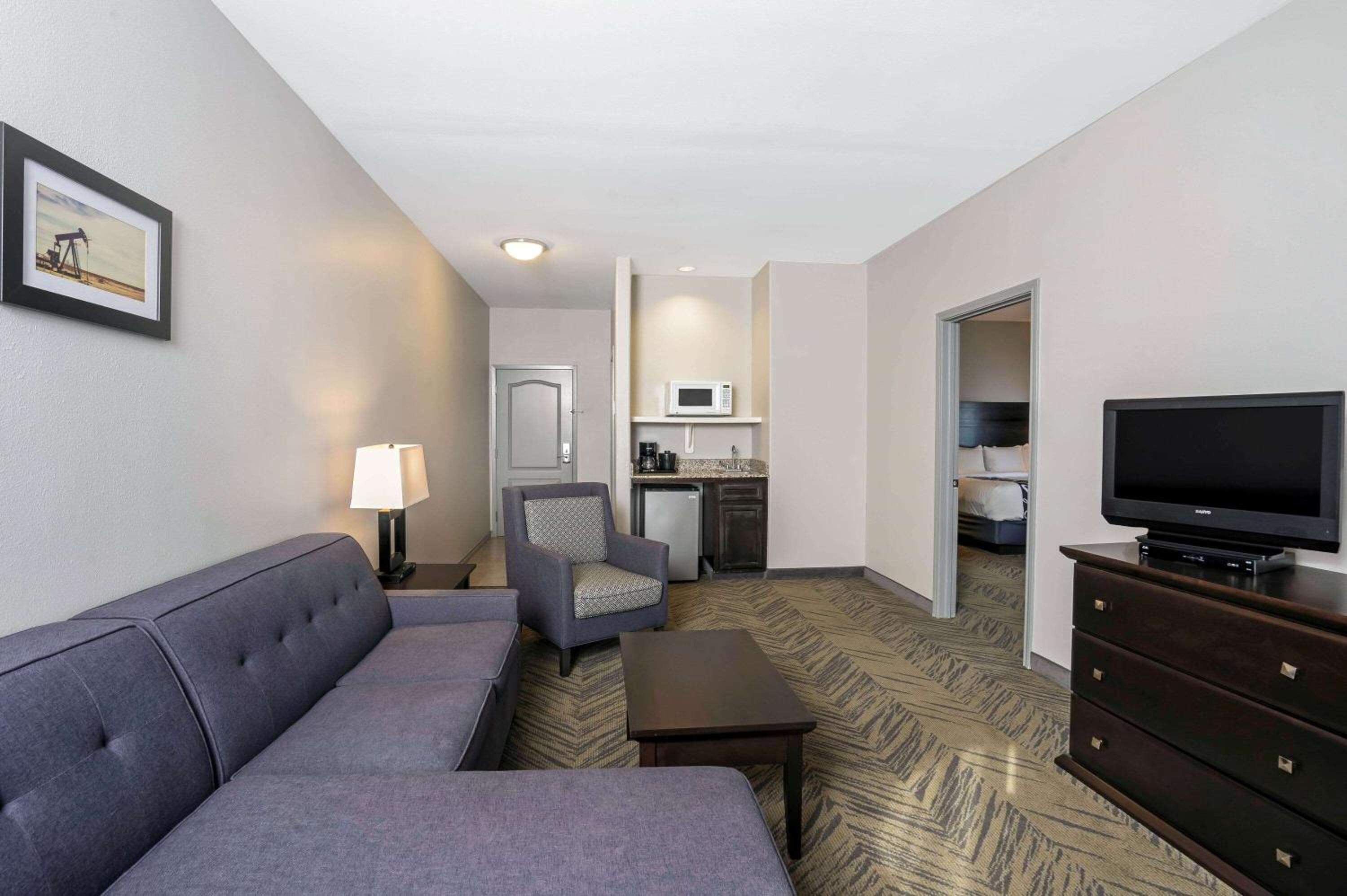Deluxe King Suite - Photo 1